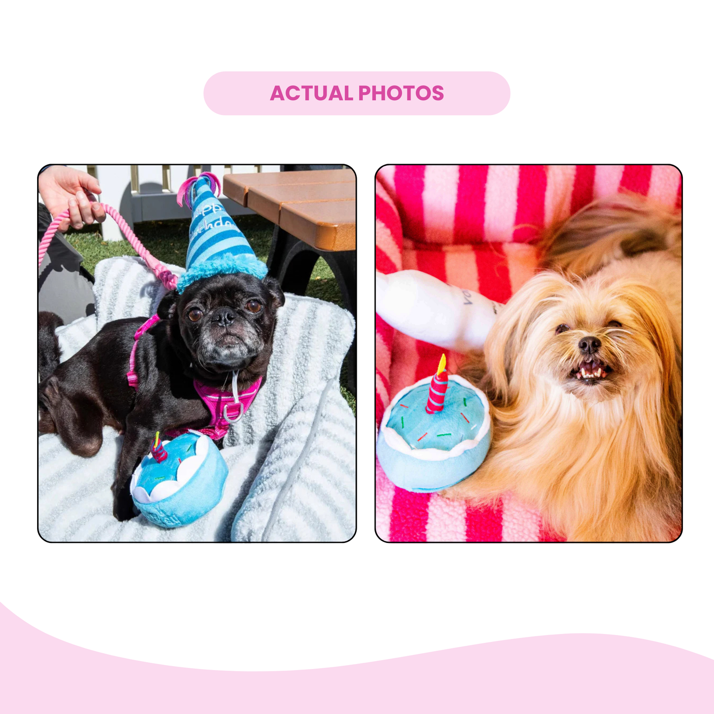 Blue Birthday Cake Plush Dog Toy - Glow Pups by Glow Pups