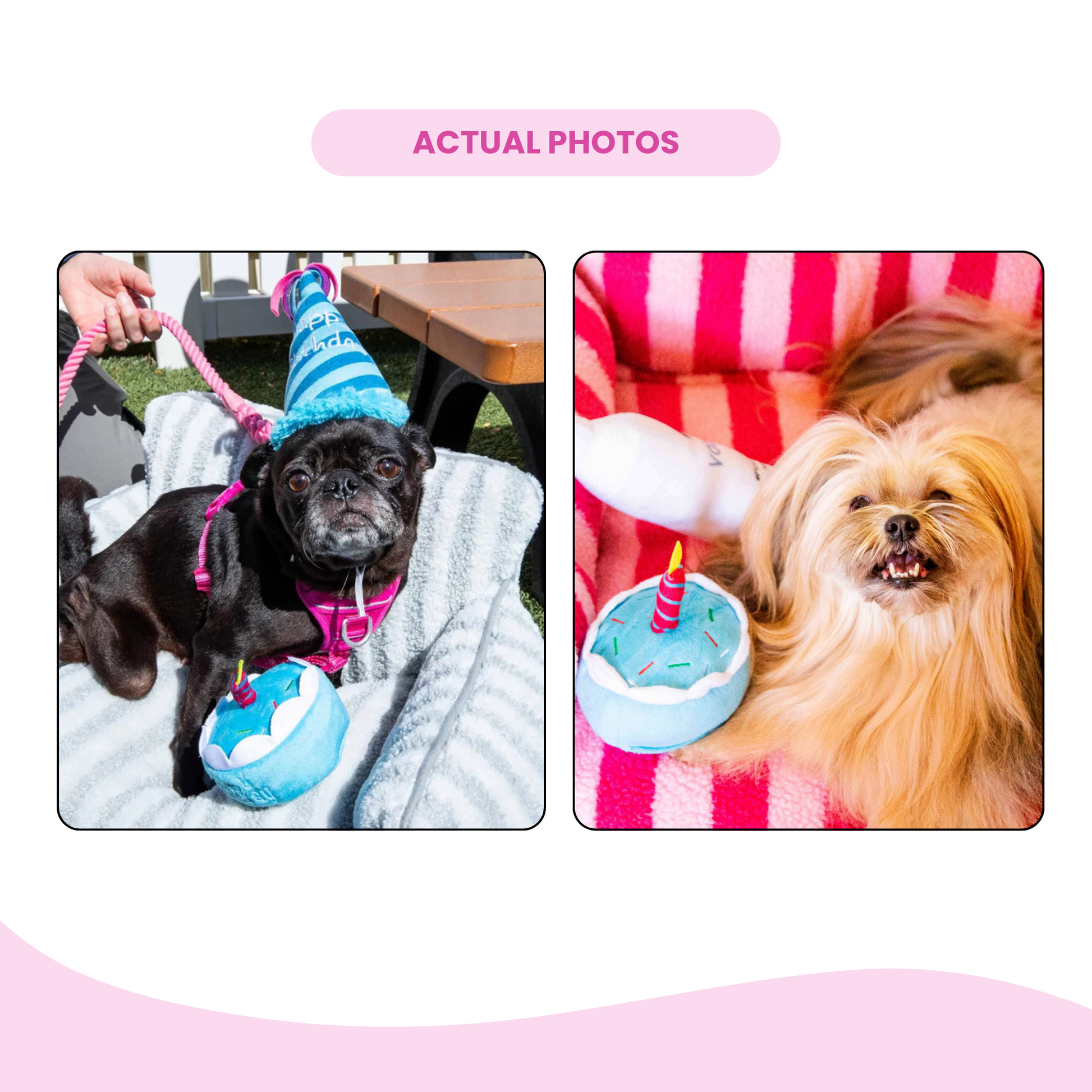 Blue Birthday Cake Plush Dog Toy - Glow Pups by Glow Pups