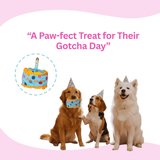 Glow Pups Gotcha Day Squeaky Plush Dog Toy by Glow Pups