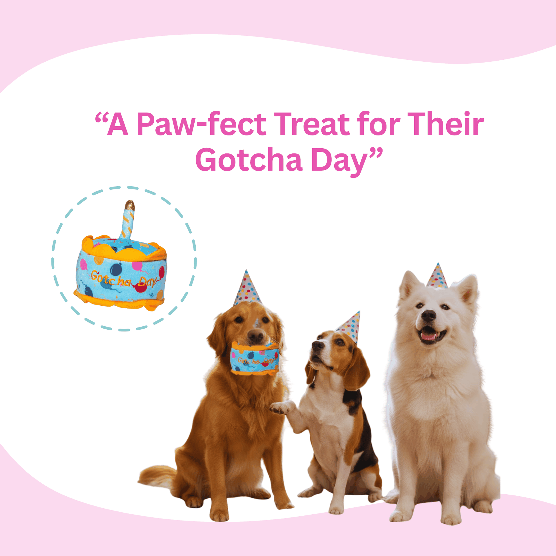 Glow Pups Gotcha Day Squeaky Plush Dog Toy by Glow Pups