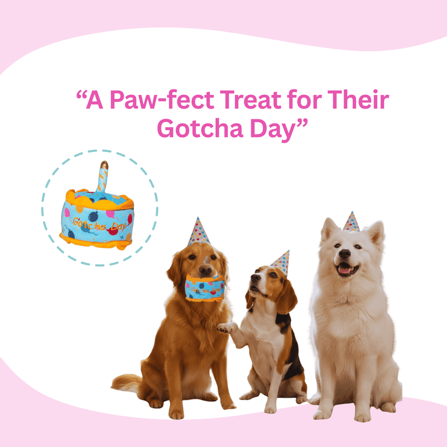 Glow Pups Gotcha Day Squeaky Plush Dog Toy by Glow Pups