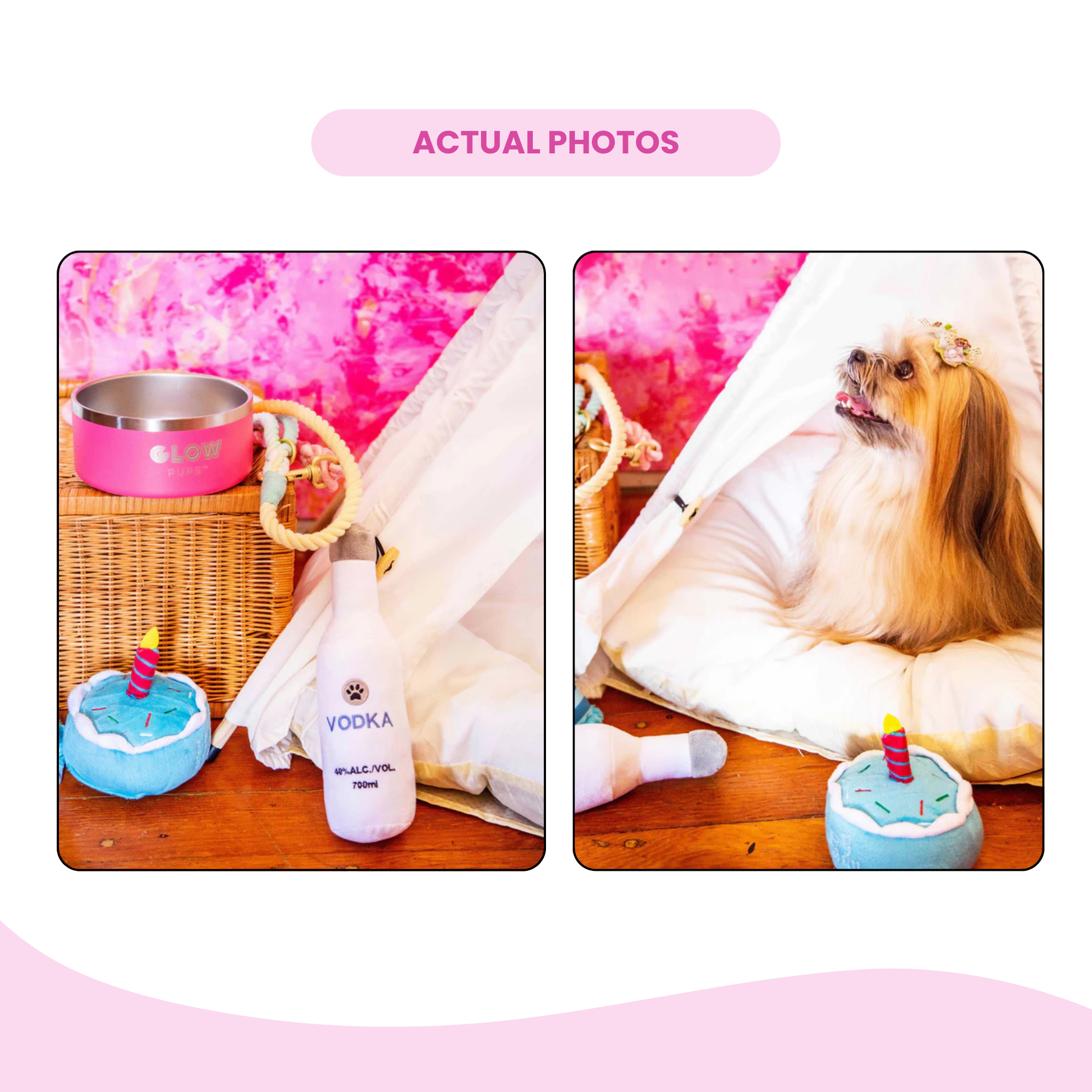 Blue Birthday Cake Plush Dog Toy - Glow Pups by Glow Pups