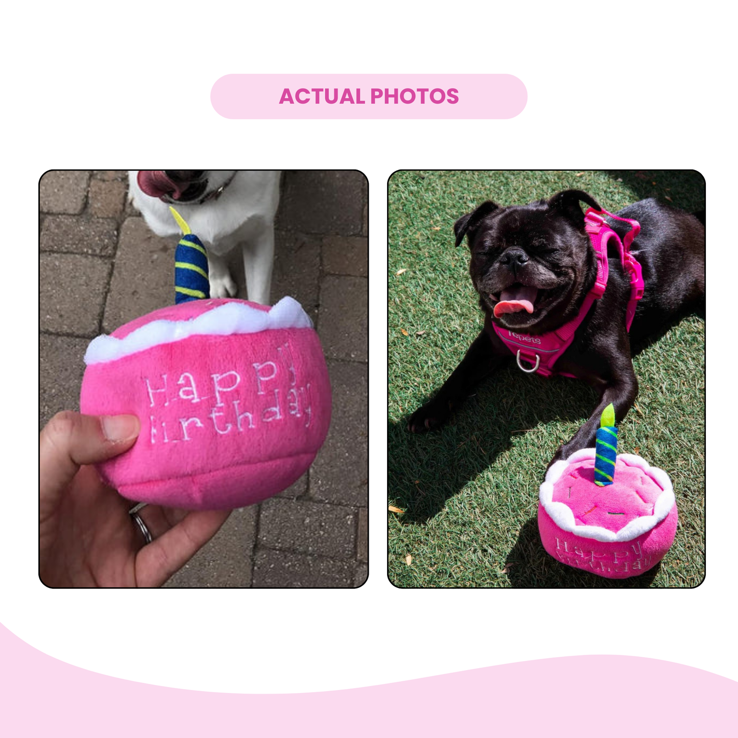 Pink Birthday Cake Plush Dog Toy - Glow Pups
