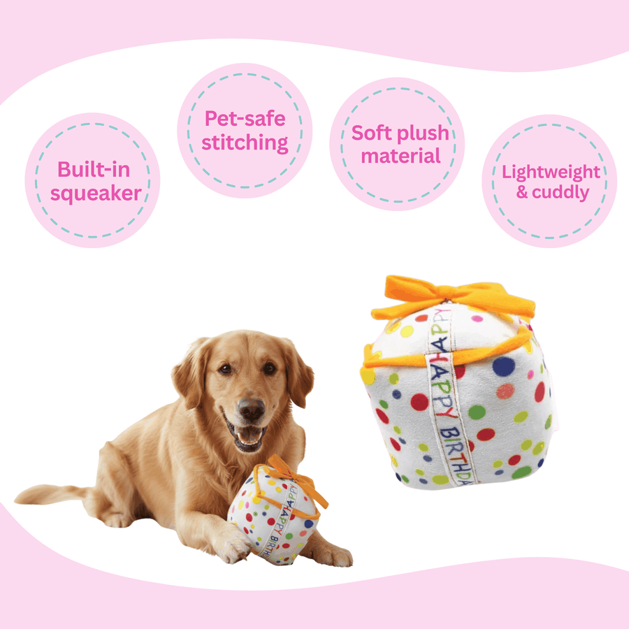Squeaky Birthday Present Plush Dog Toy - Glow Pups by Glow Pups