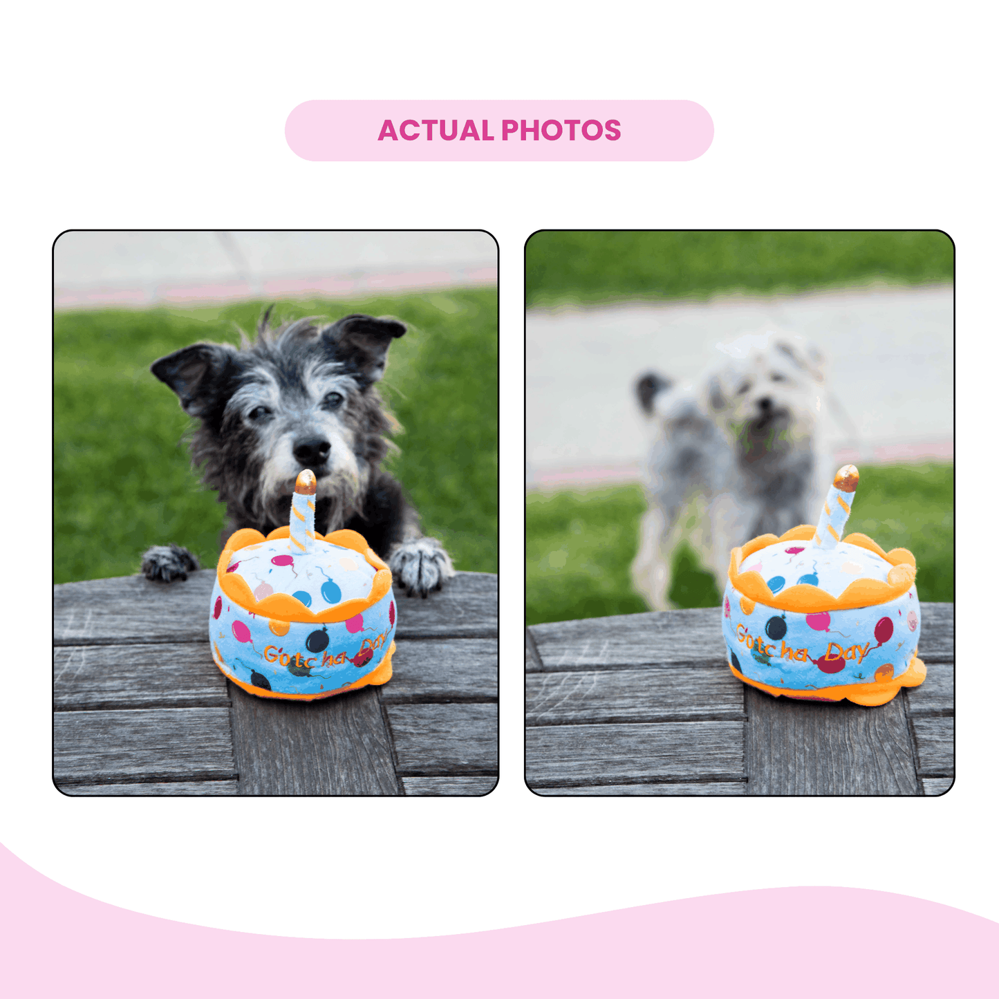 Glow Pups Gotcha Day Squeaky Plush Dog Toy by Glow Pups