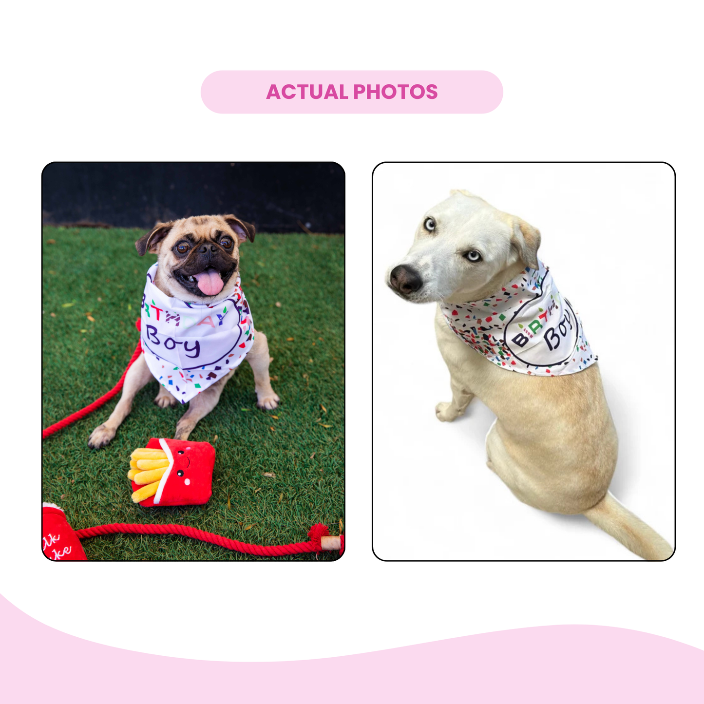 Birthday Bandanas - Stylish Dog Accessories - Glow Pups by Glow Pups