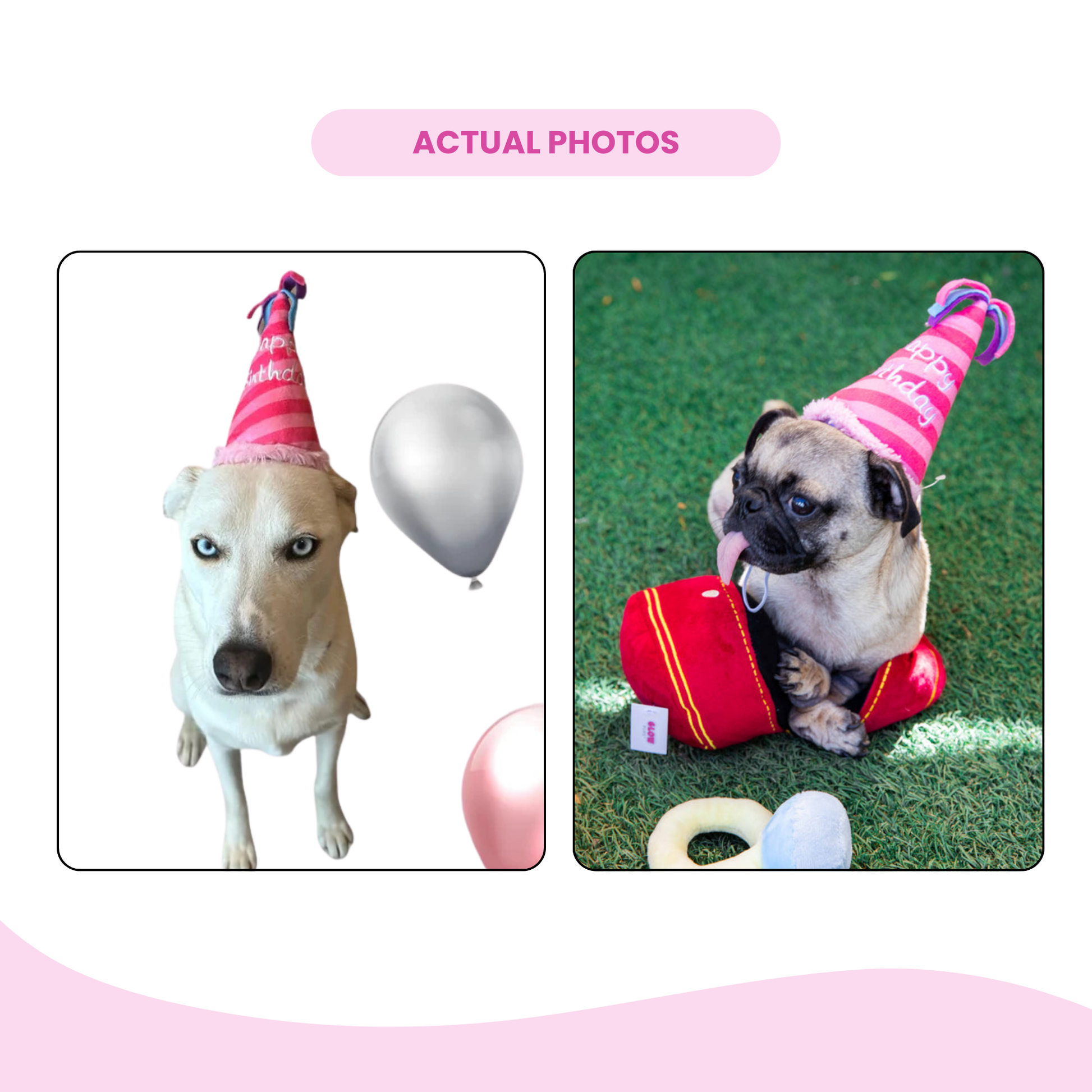 Pink Birthday Hat Squeaky Dog Toy - Glow Pups by Glow Pups