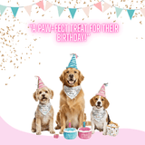 Pink Birthday Cake Plush Dog Toy - Glow Pups by Glow Pups