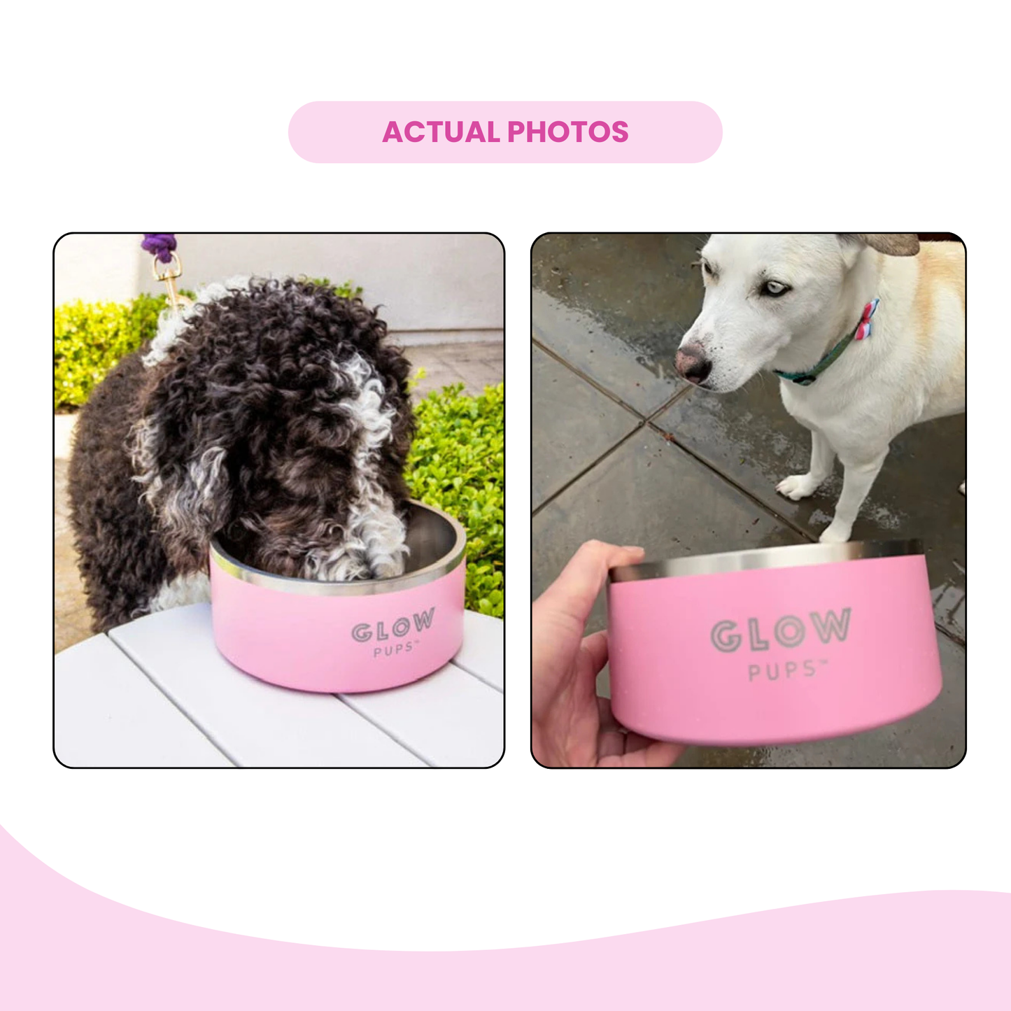 Light Pink Stainless Steel Dog Bowl 32oz & 64oz - Glow Pups