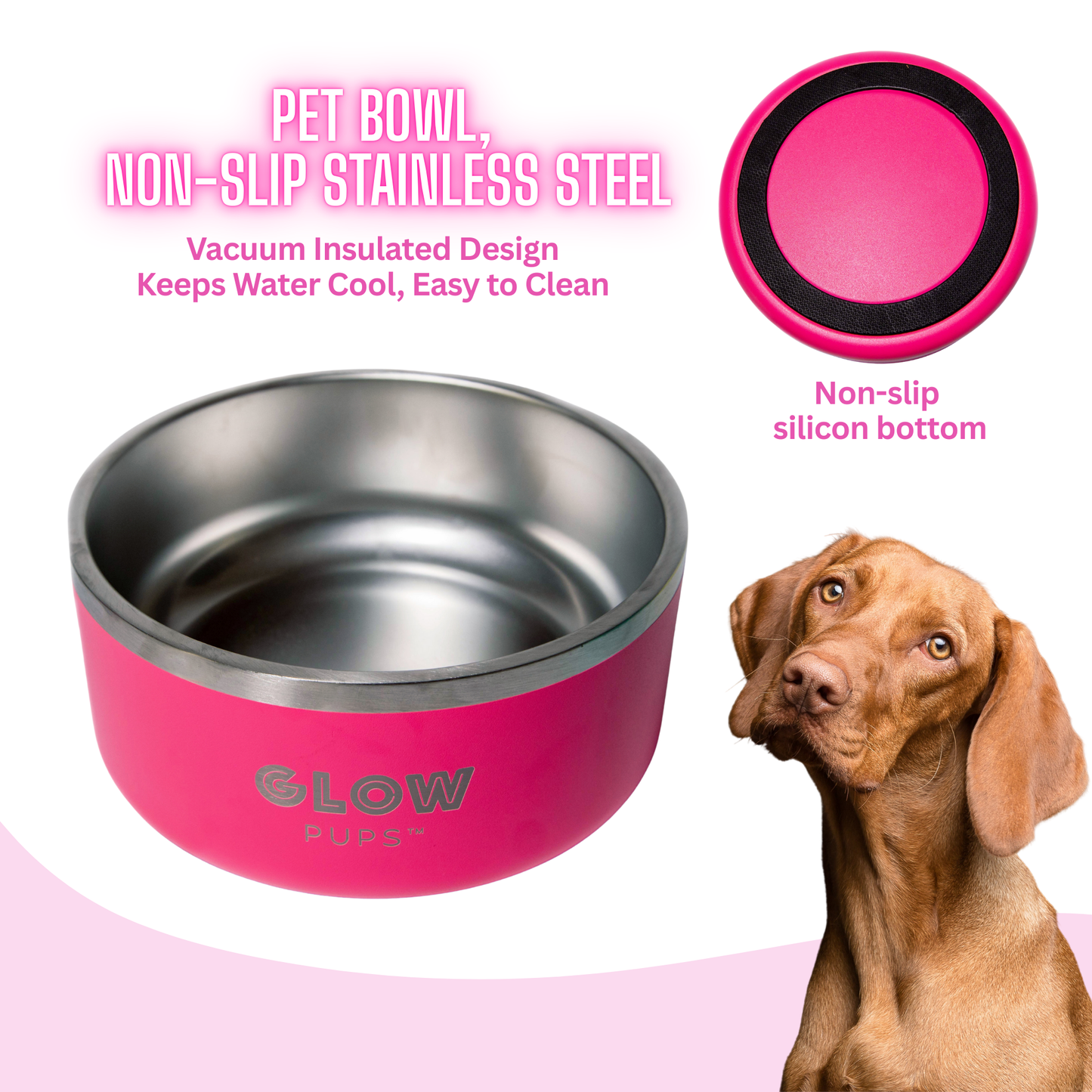 Dark Pink Stainless Steel Dog Bowl 32oz & 64oz- Glow Pups