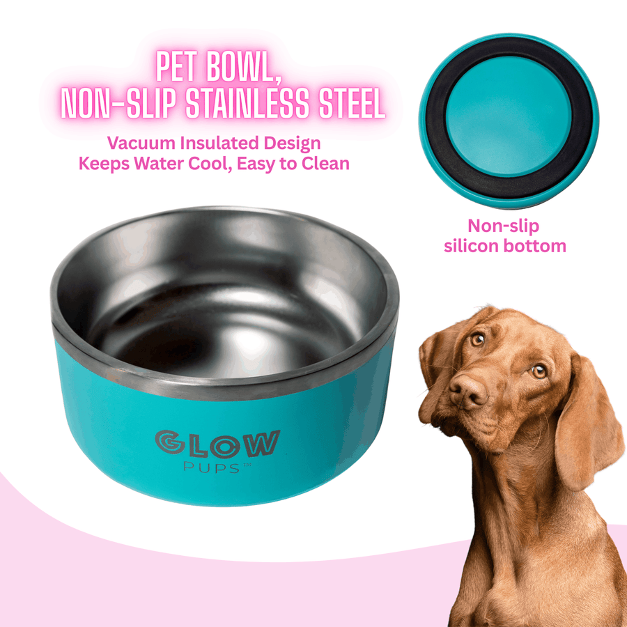 Aqua Blue Stainless Steel Dog Bowl 32oz and 64oz Vacuum Insulated No Slip No Tip Base Glow Pups by Glow Pups
