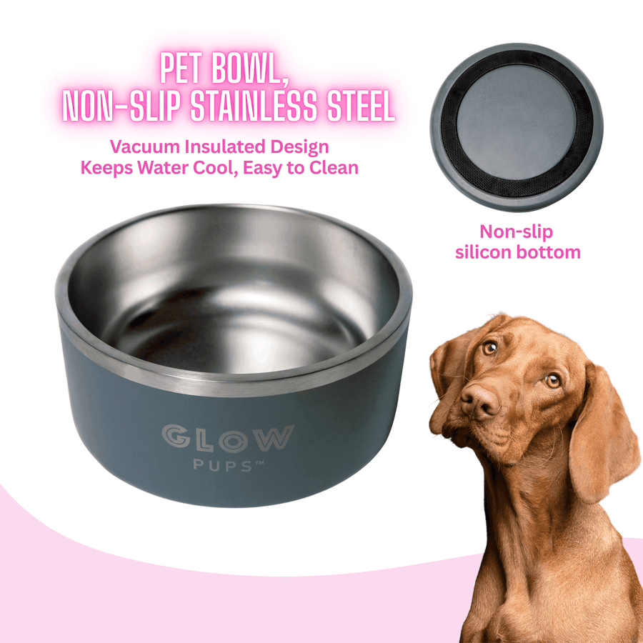 Grey Stainless Steel Dog Bowl Vacuum Insulated Keeps Water Cool No Slip No Tip Design Available In 32oz And 64oz by Glow Pups