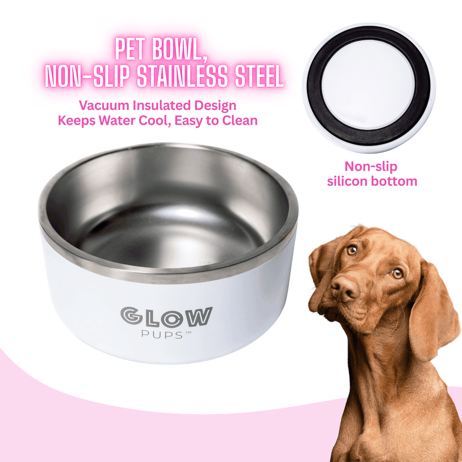 Glow Pups White Stainless Steel Dog Bowl 32oz And 64oz Vacuum Insulated No Slip No Tip by Glow Pups