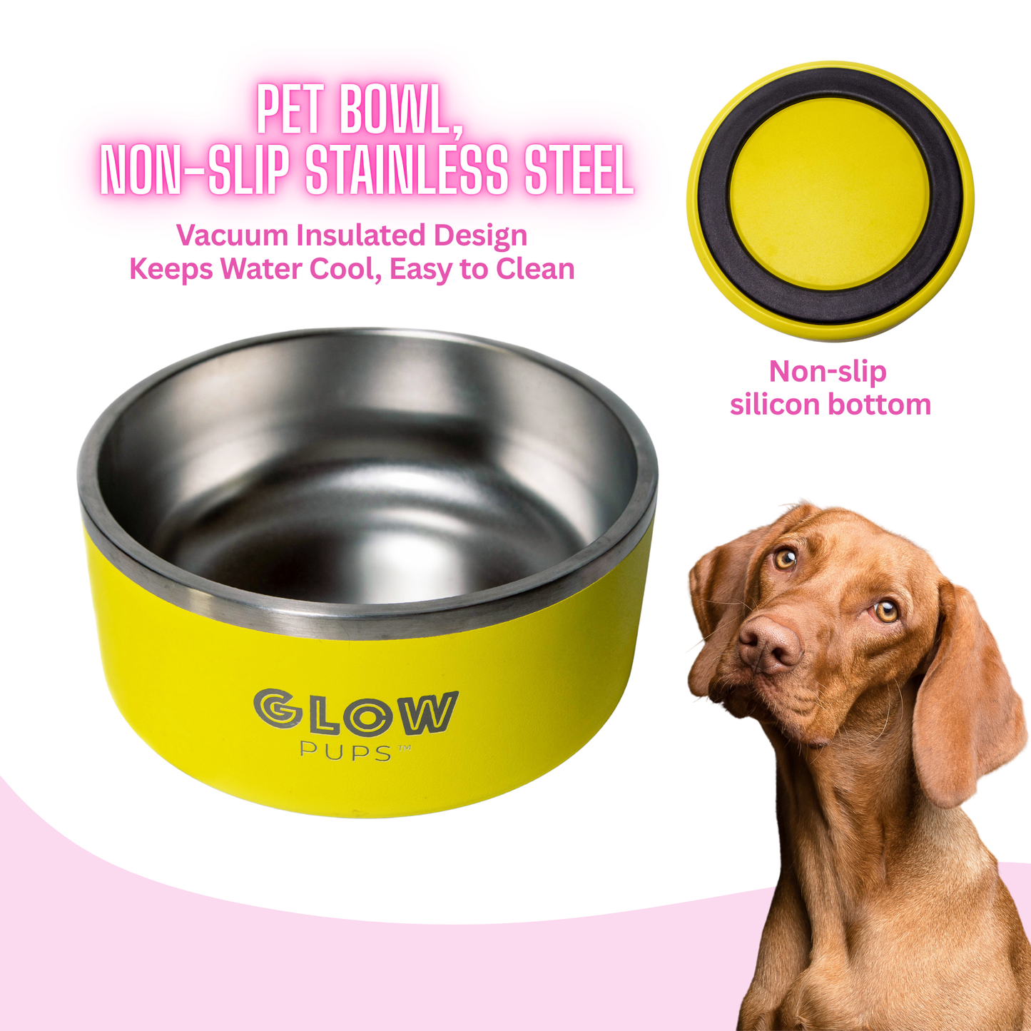 Sunshine Yellow Stainless Steel Dog Bowl 32oz & 64oz - Glow Pups