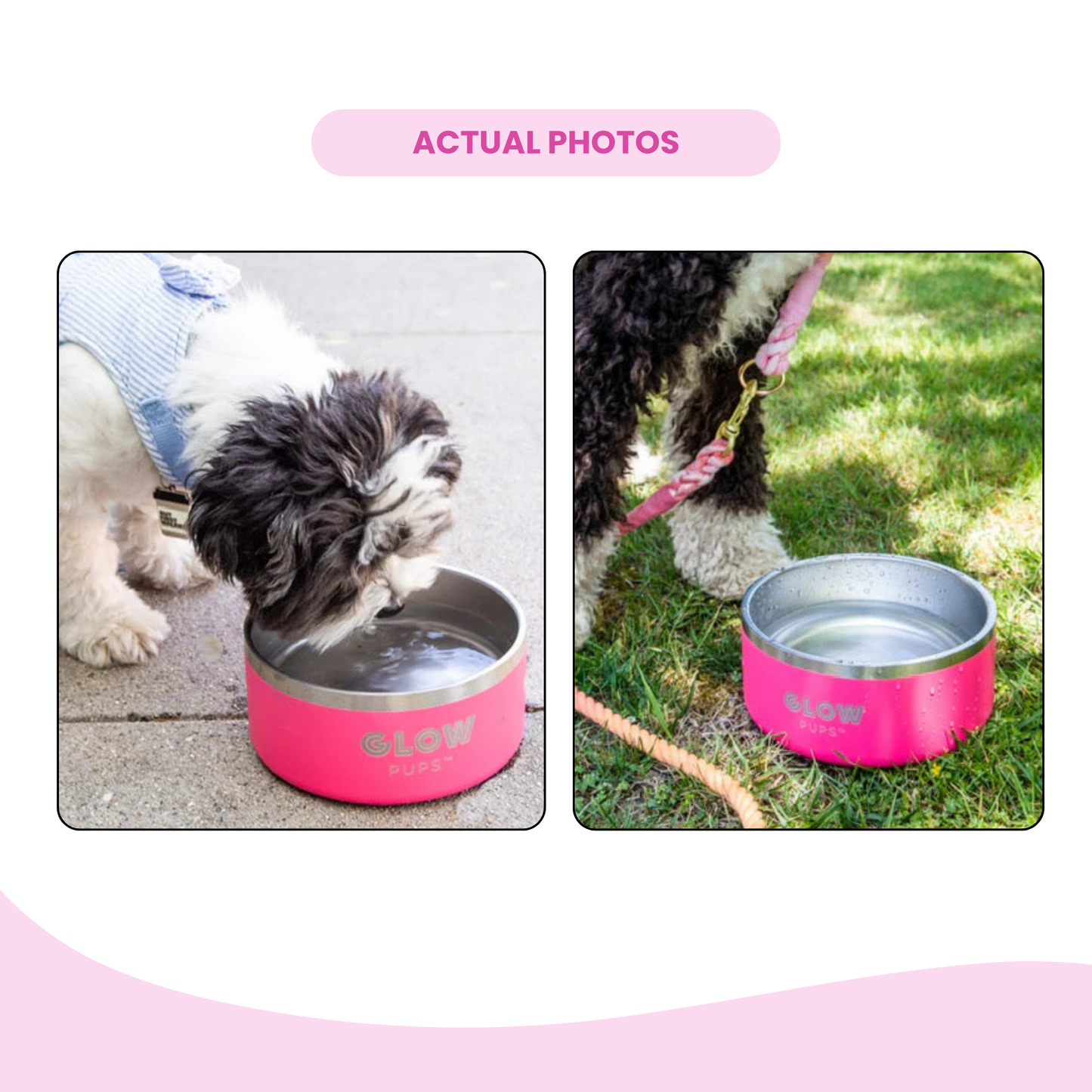 Dark Pink Stainless Steel Dog Bowl 32oz & 64oz- Glow Pups