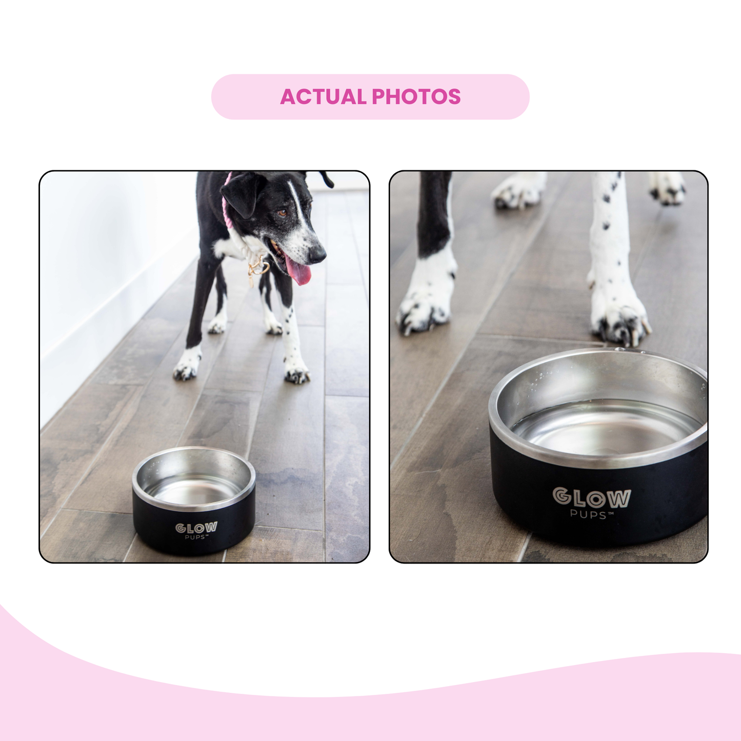 Black Stainless Steel Dog Bowl 32oz & 64oz - Glow Pups
