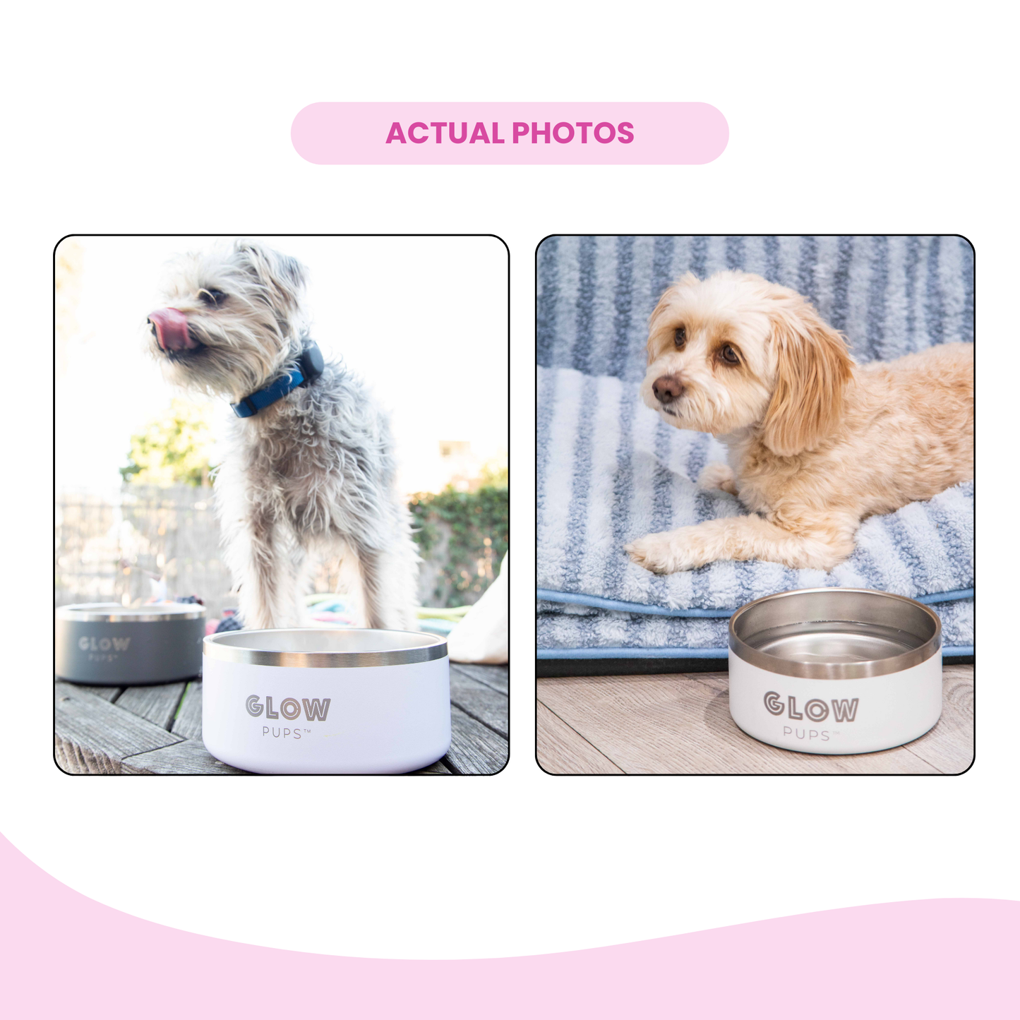 White Stainless Steel Dog Bowl 32oz & 64oz - Glow Pups