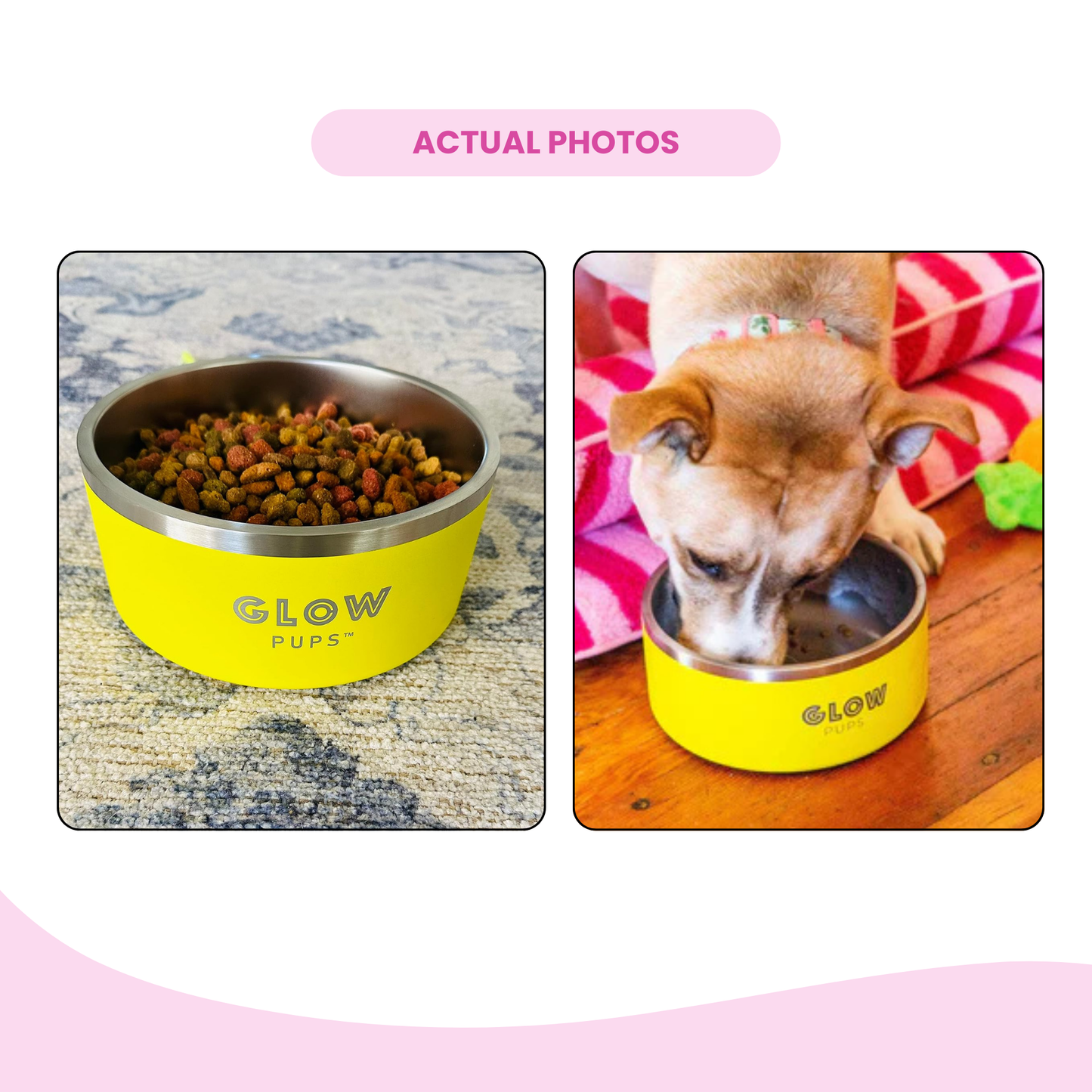 Sunshine Yellow Stainless Steel Dog Bowl 32oz & 64oz - Glow Pups