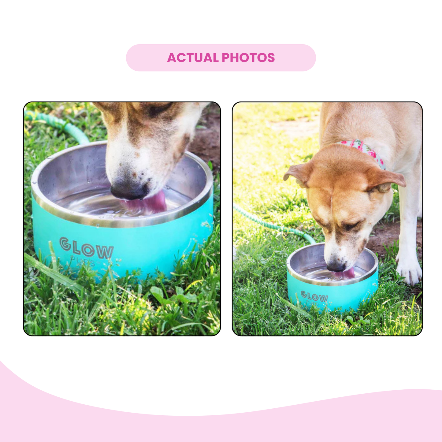 Aqua Blue Stainless Steel Dog Bowl 32oz & 64oz - Glow Pups