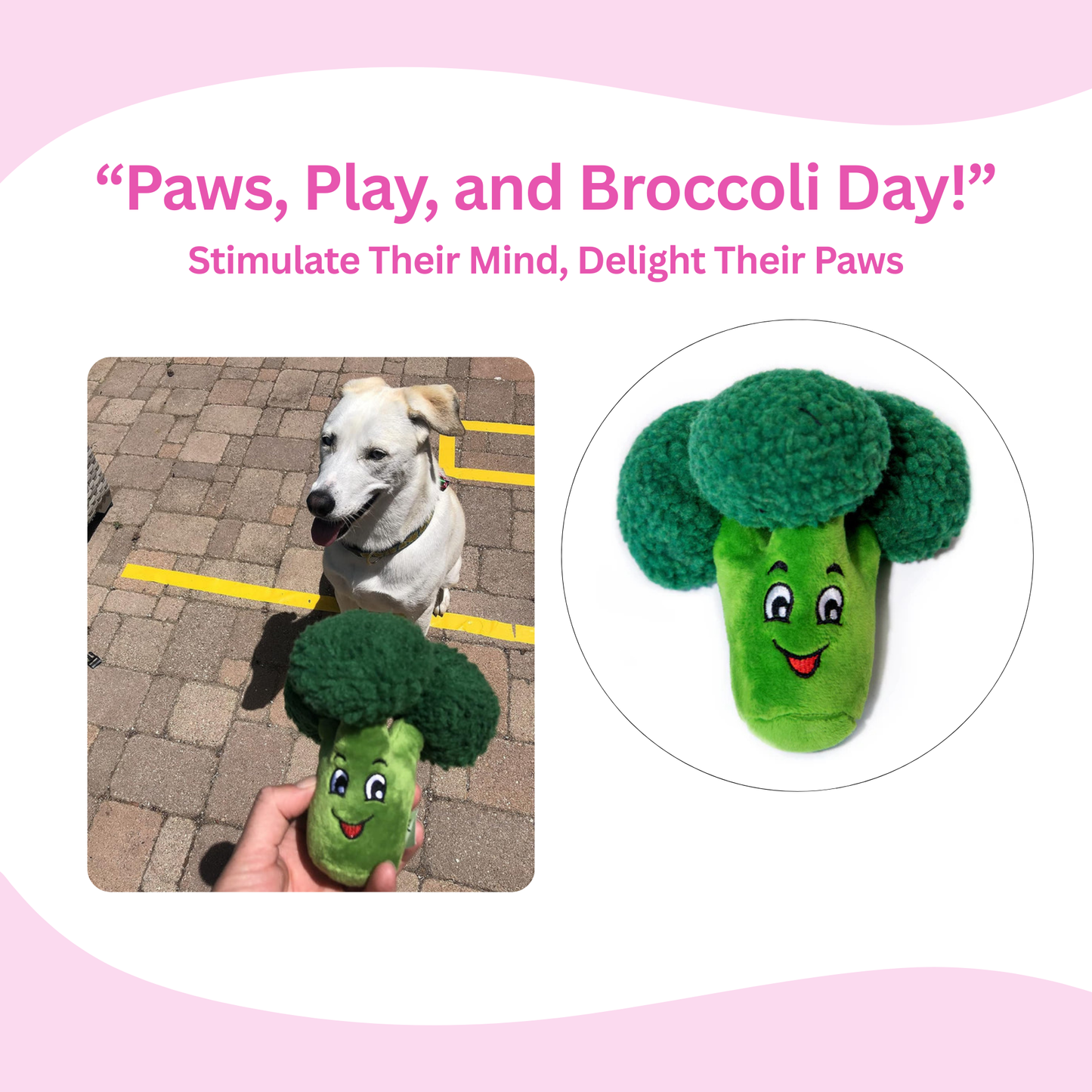 Broccoli Squeaky Dog Toy - Glow Pups