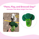 Broccoli Squeaky Dog Toy - Glow Pups by Glow Pups