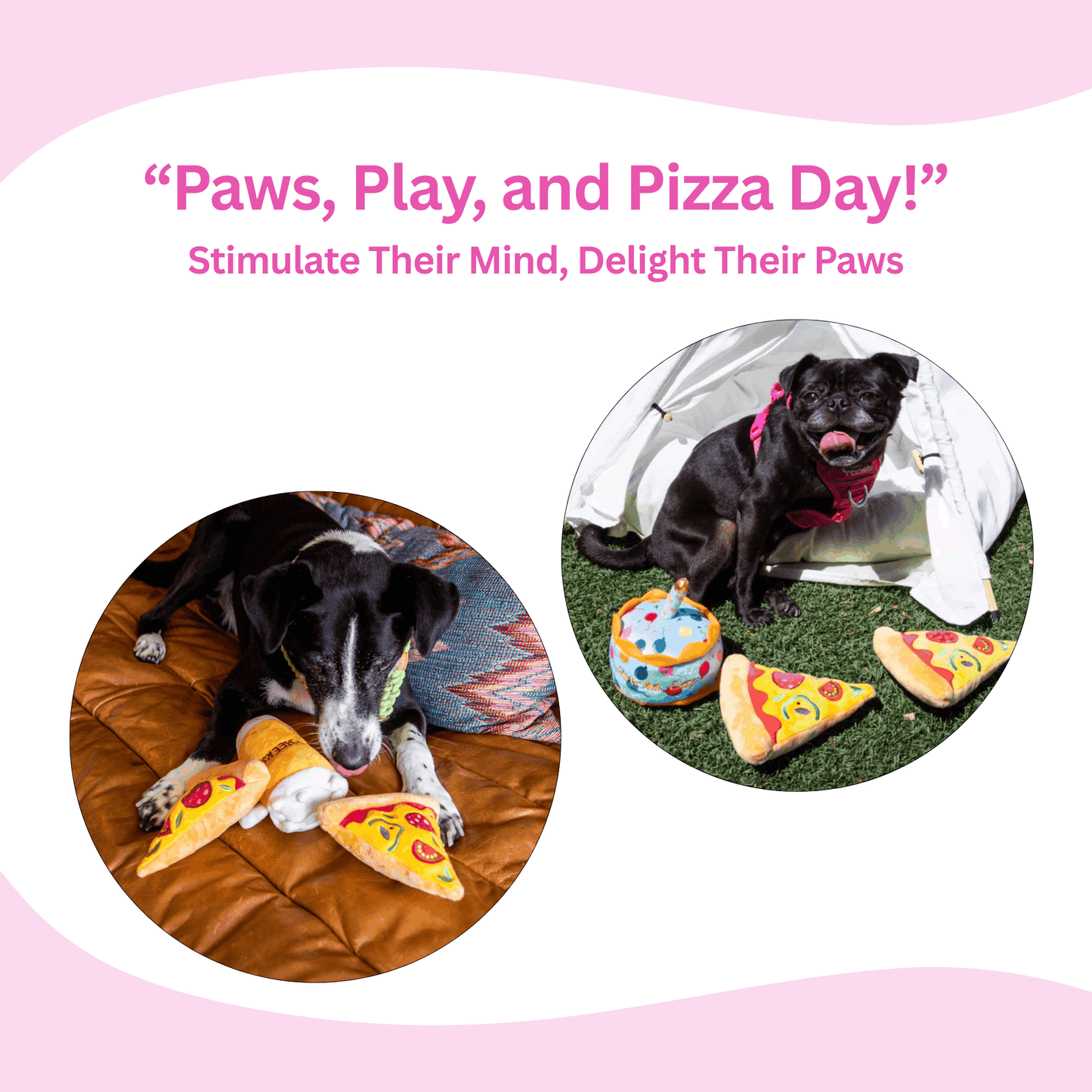 Pizza Squeaky Dog Toy 2 Packs - Glow Pups by Glow Pups