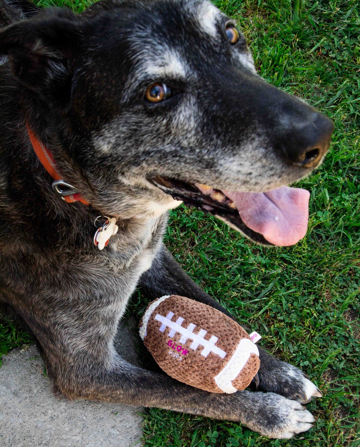 Squeaky Football Dog Toy