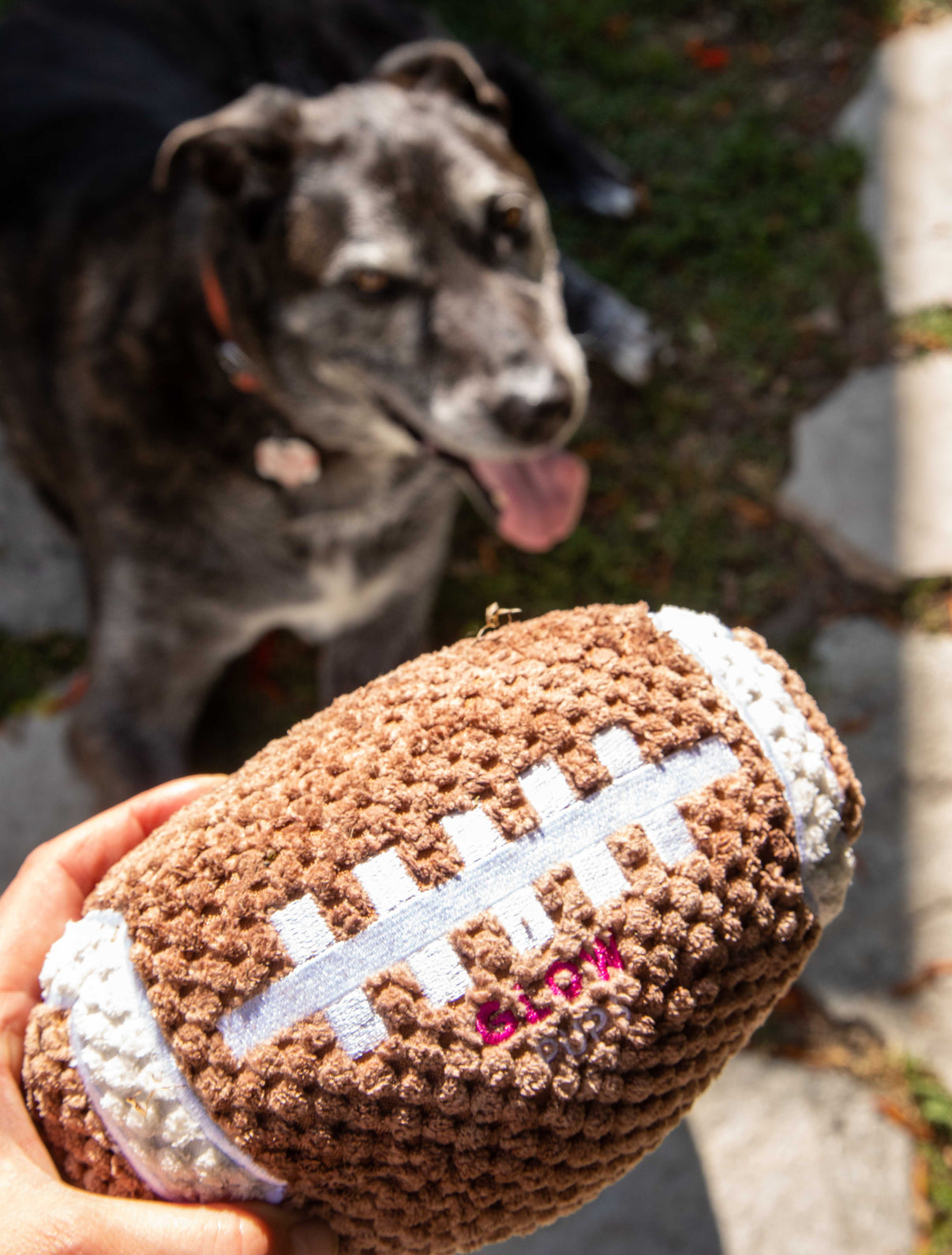 Gammin footy dogs set main image 1