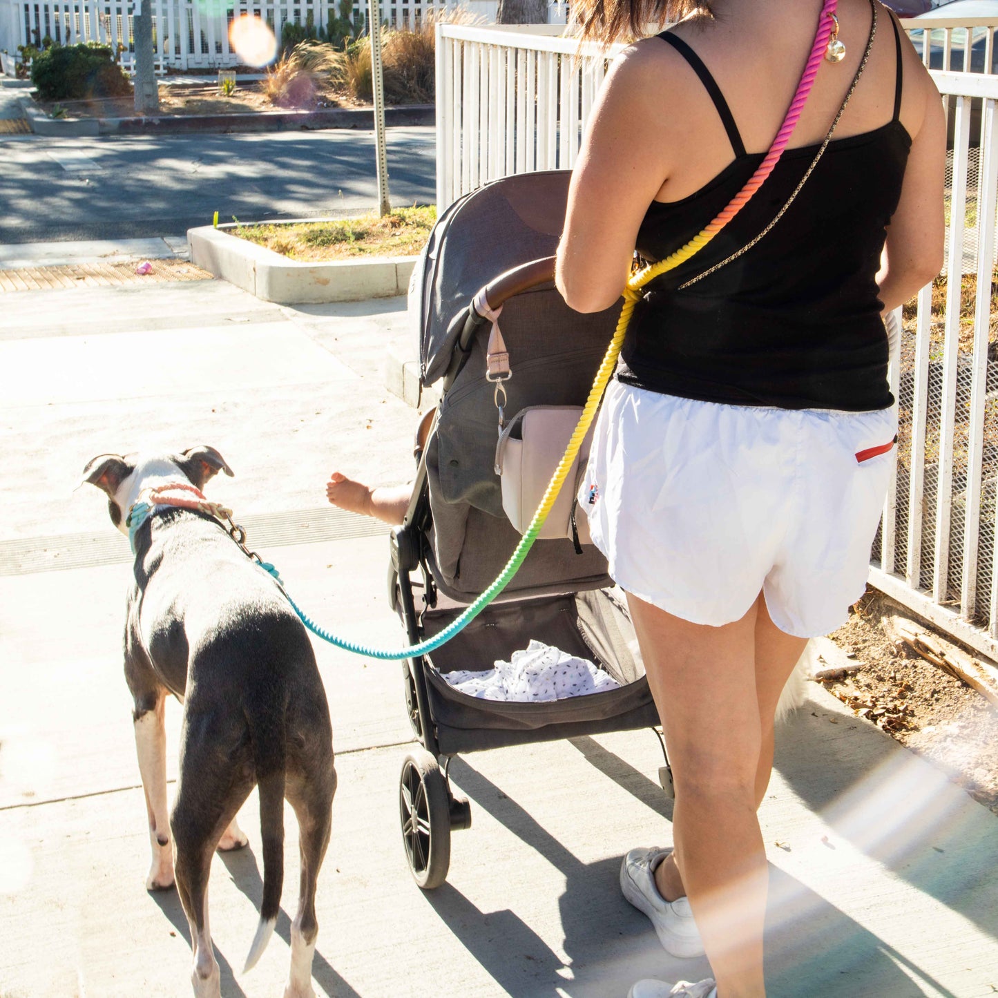 Rainbow Hands-Free Cotton Rope Leash - Glow Pups
