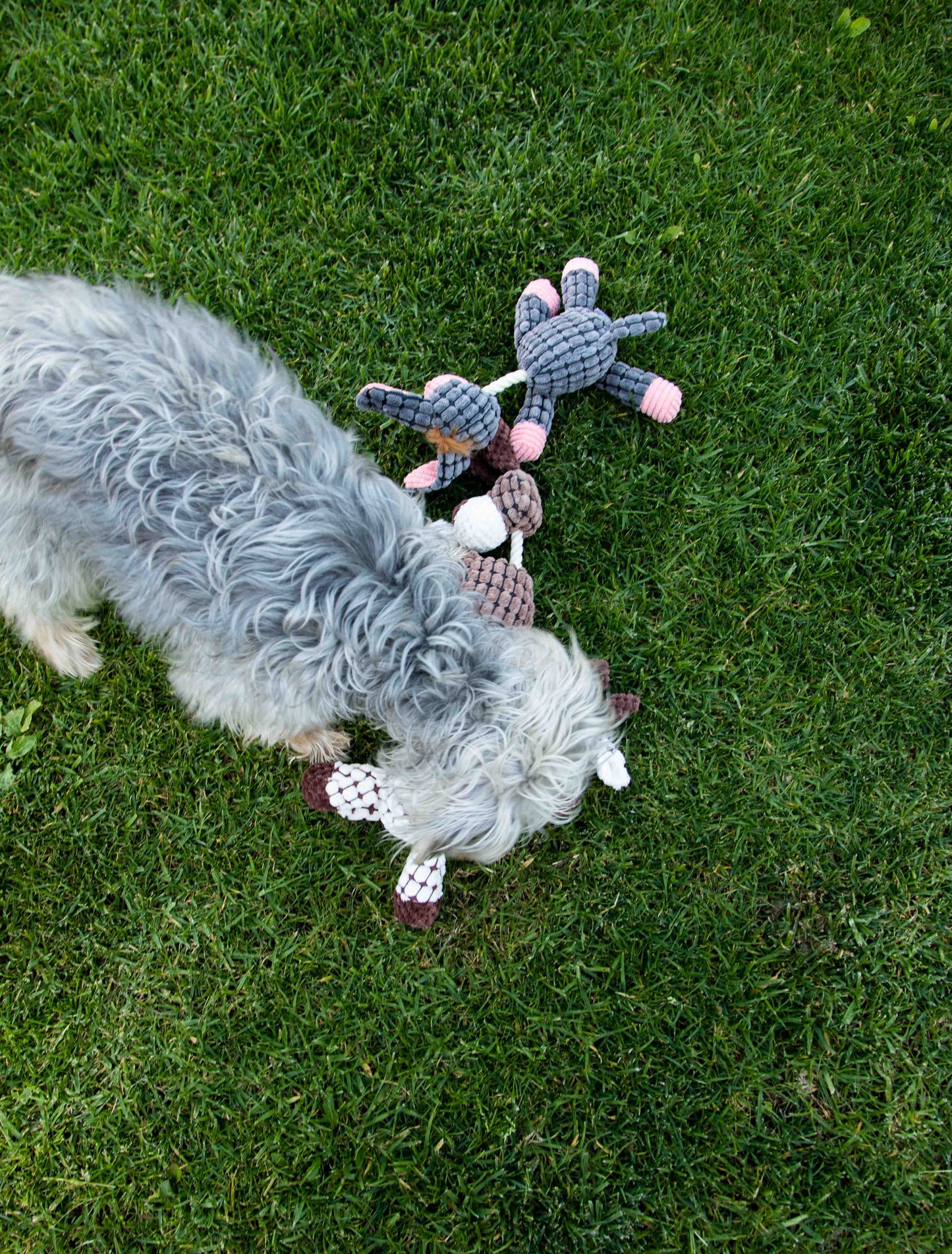 3 Pack Farm Friends Plush Toy Set - Donkey, Cow and Dog