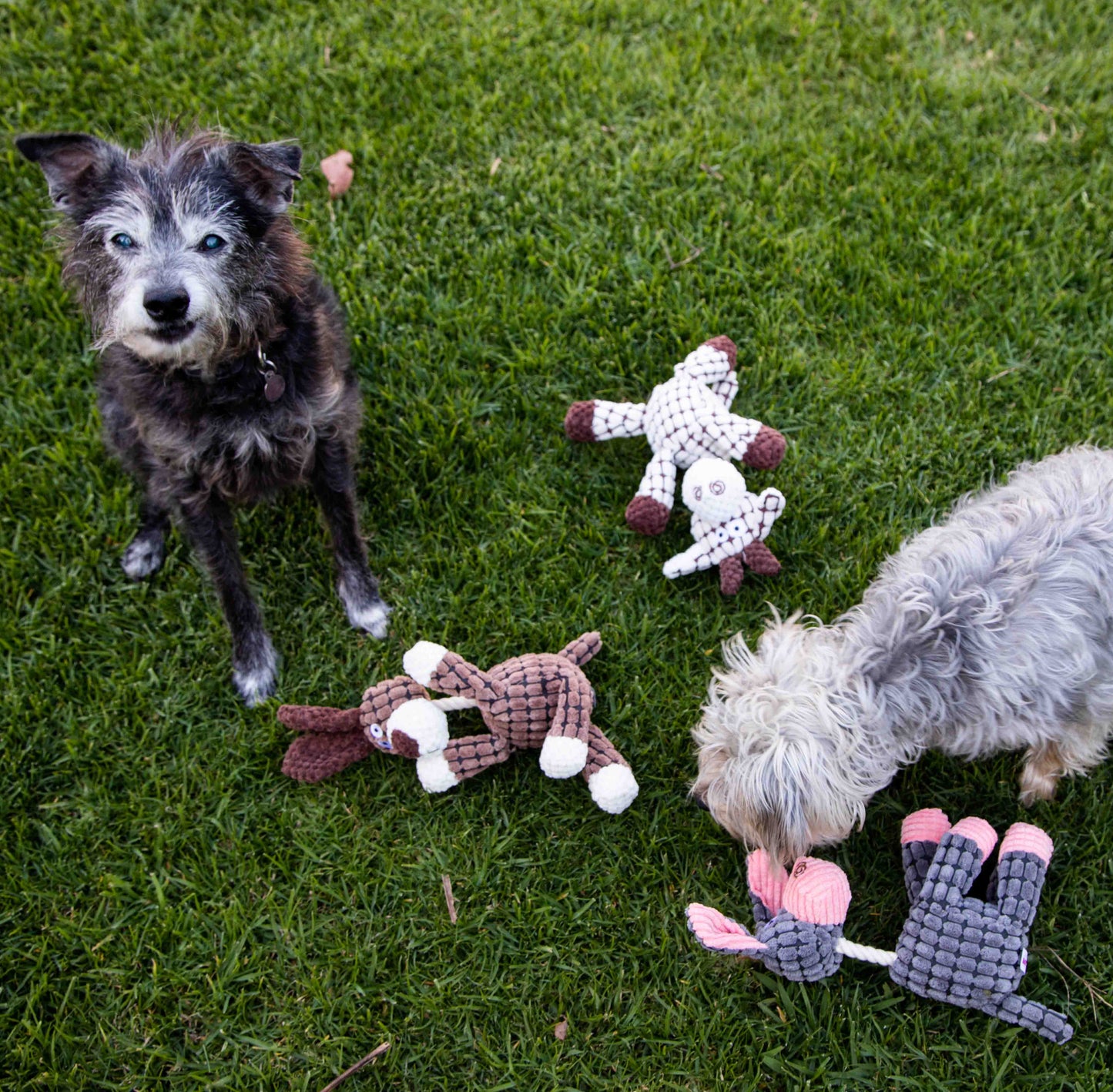 3 Pack Farm Friends Plush Toy Set - Donkey, Cow and Dog