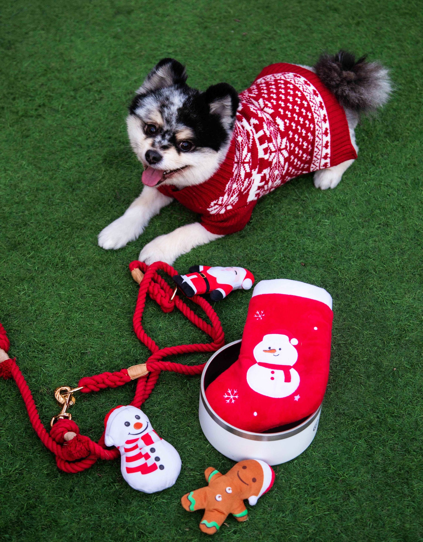 Christmas Stocking Dog Toy with Santa, Snowman and Gingerbread Man toys