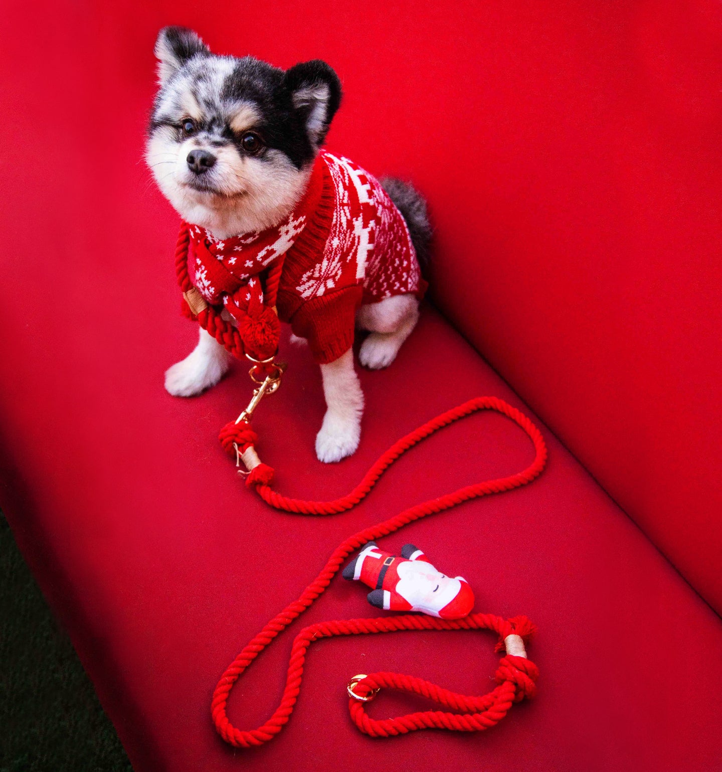 Red Boho Chic Style Dog Leash - Glow Pups