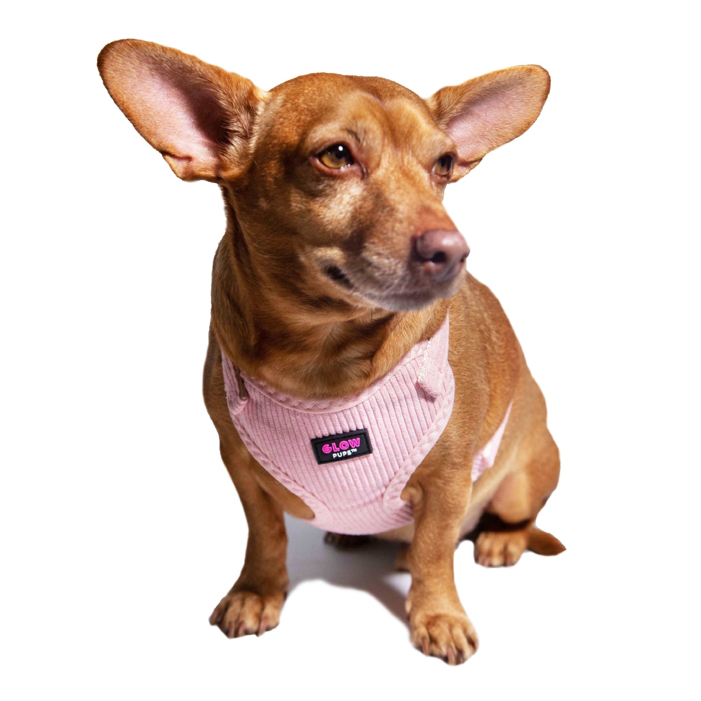 Light Pink Harness with Gold Buckle - Glow Pups