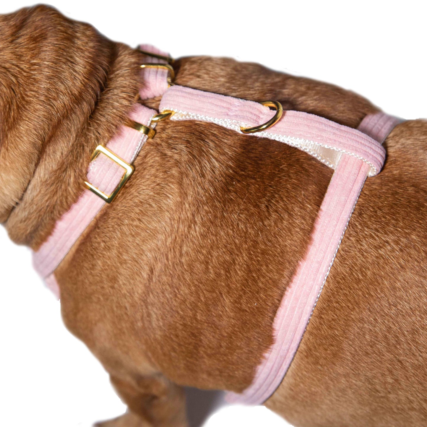 Light Pink Harness with Gold Buckle - Glow Pups