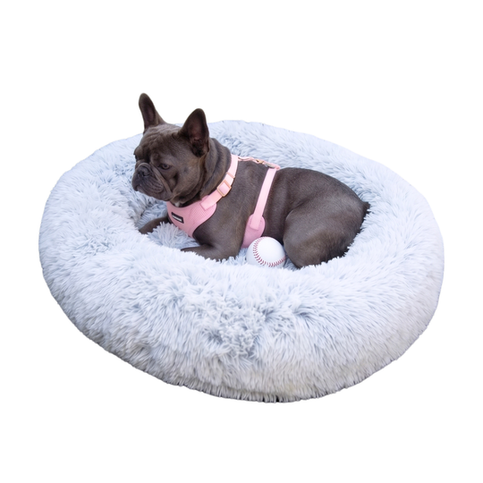 Luxurious Faux Fur Dog Bed With Memory Foam Bolster, Cozy Oval Design, Removable Cover and Machine Washable , Non-Slip Base, Light Grey by Glow Pups