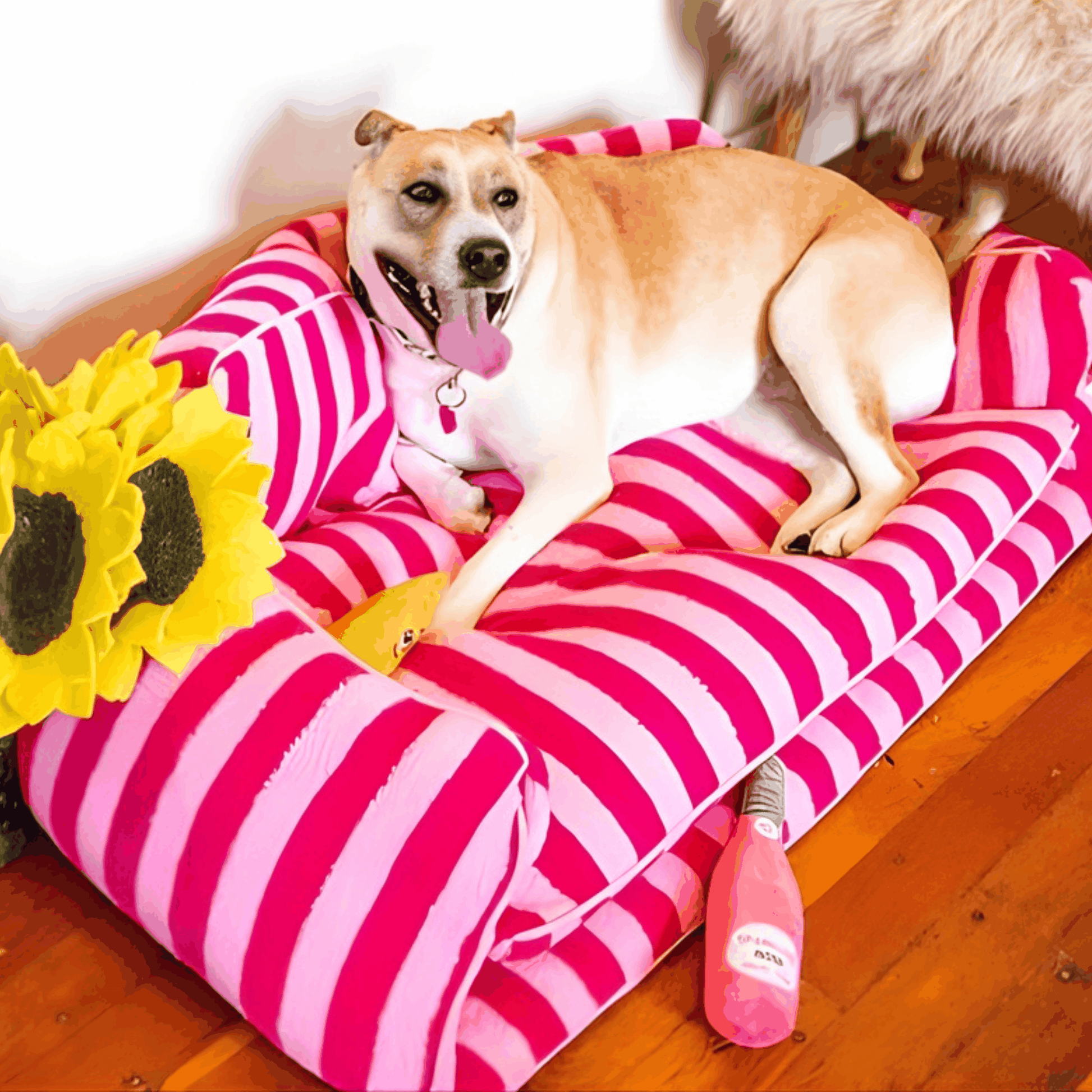 Glow Pups Pretty Pink Striped Sofa Dog Bed For Stylish Comfort And Cozy Rest For Pets by Glow Pups