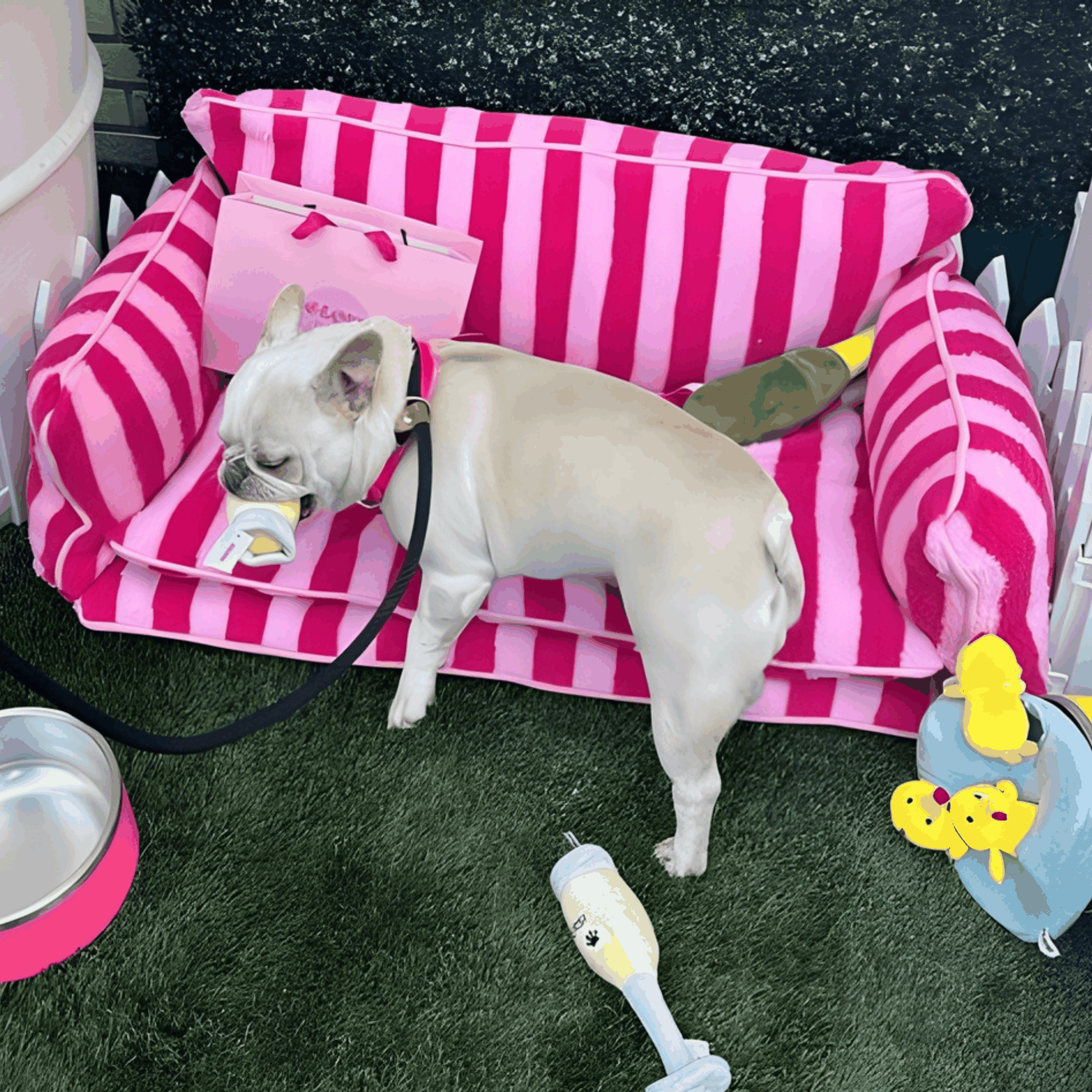 Glow Pups Pretty Pink Striped Sofa Dog Bed For Stylish Comfort And Cozy Rest For Pets by Glow Pups