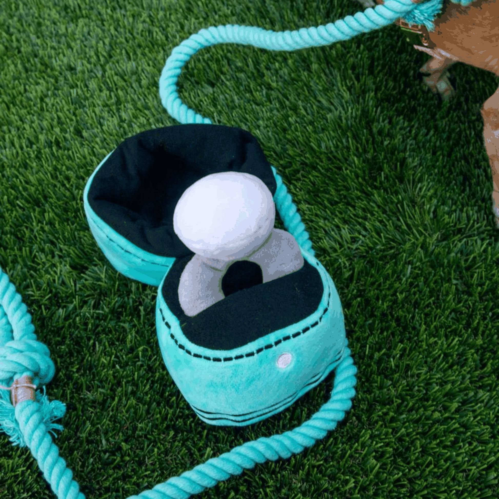 Squeaky Engagement Ring Dog Toy - Glow Pups by Glow Pups