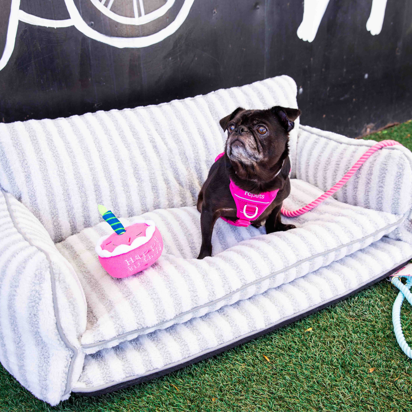 Grey And White Striped Couch Style Dog Bed By Glow Pups Mini Sofa Lounge For Pets by Glow Pups