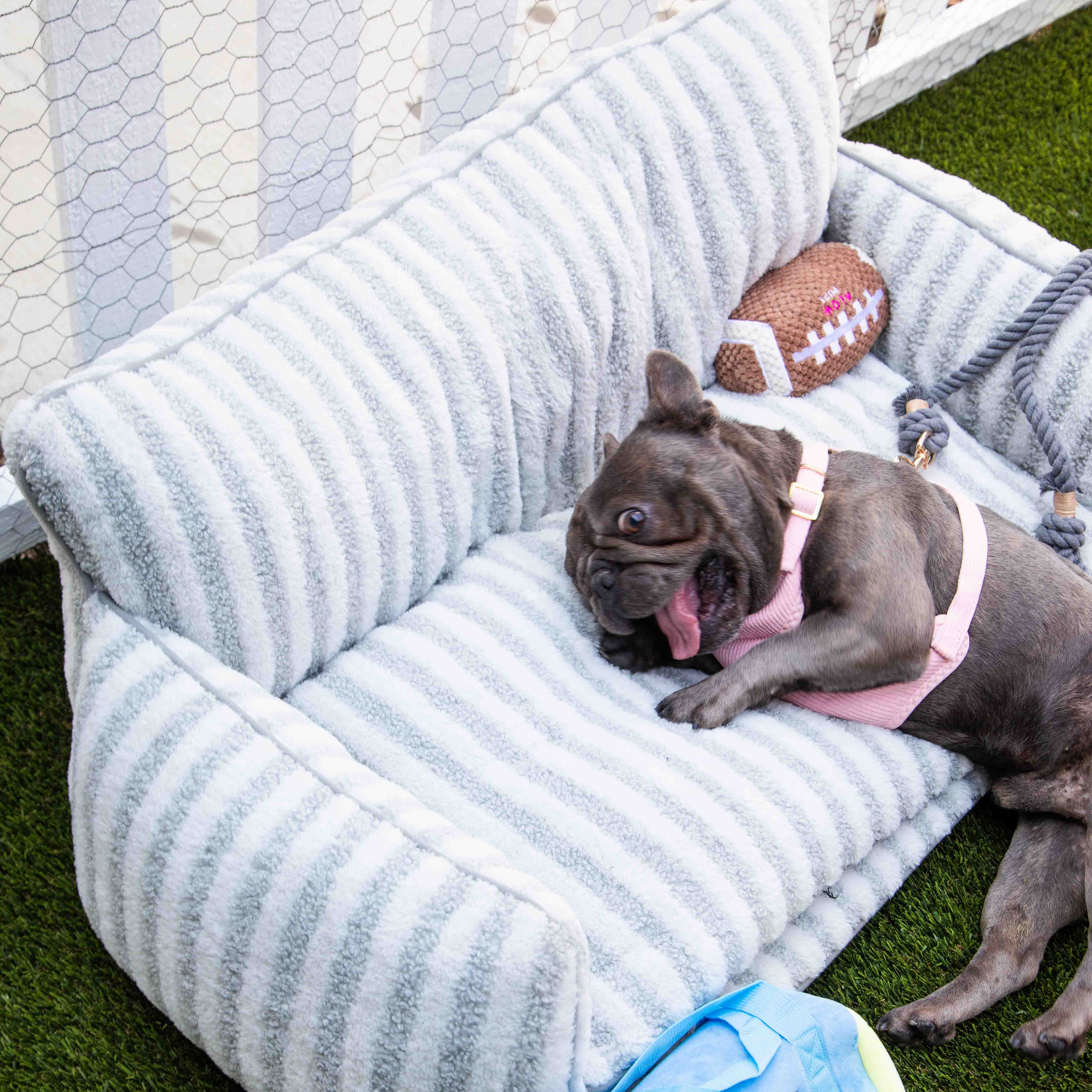 Grey And White Striped Couch Style Dog Bed By Glow Pups Mini Sofa Lounge For Pets by Glow Pups