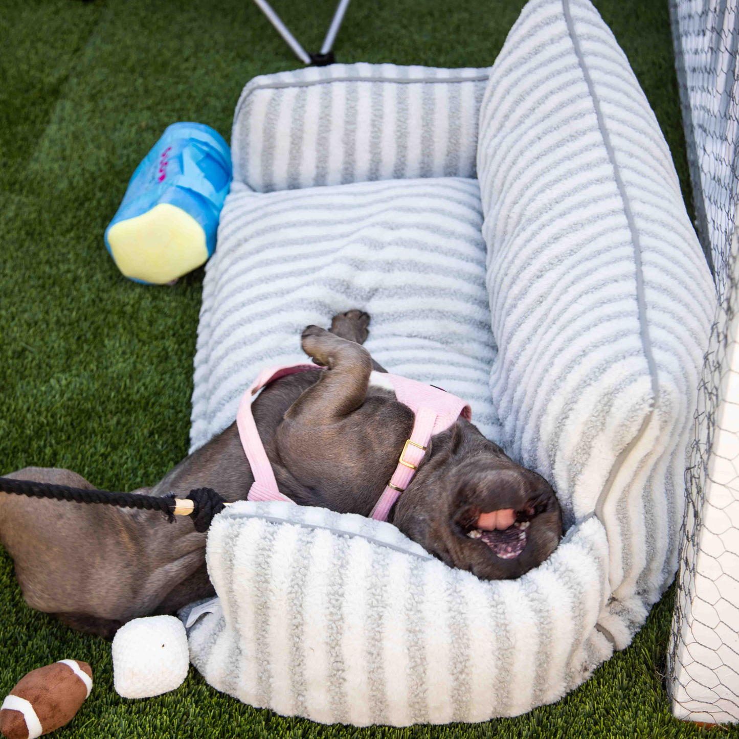 Grey And White Striped Couch Style Dog Bed By Glow Pups Mini Sofa Lounge For Pets by Glow Pups