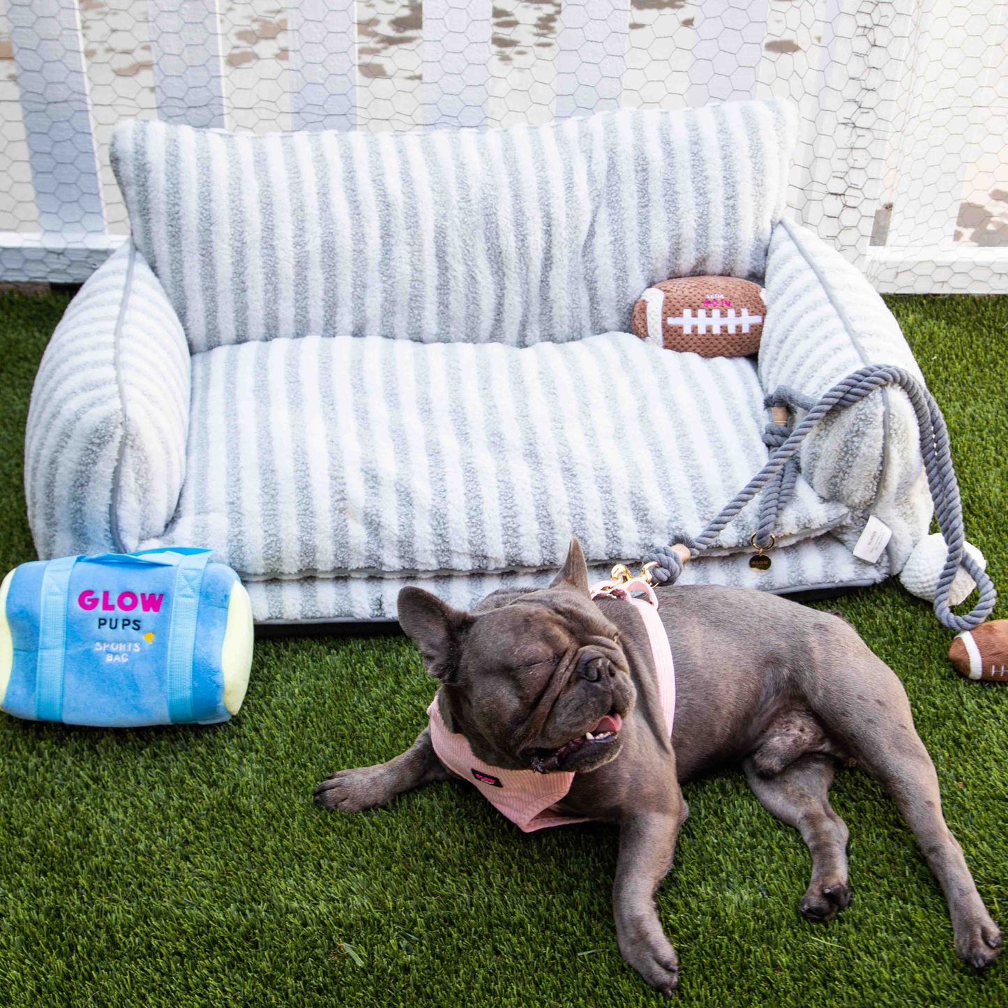 Grey And White Striped Couch Style Dog Bed By Glow Pups Mini Sofa Lounge For Pets by Glow Pups