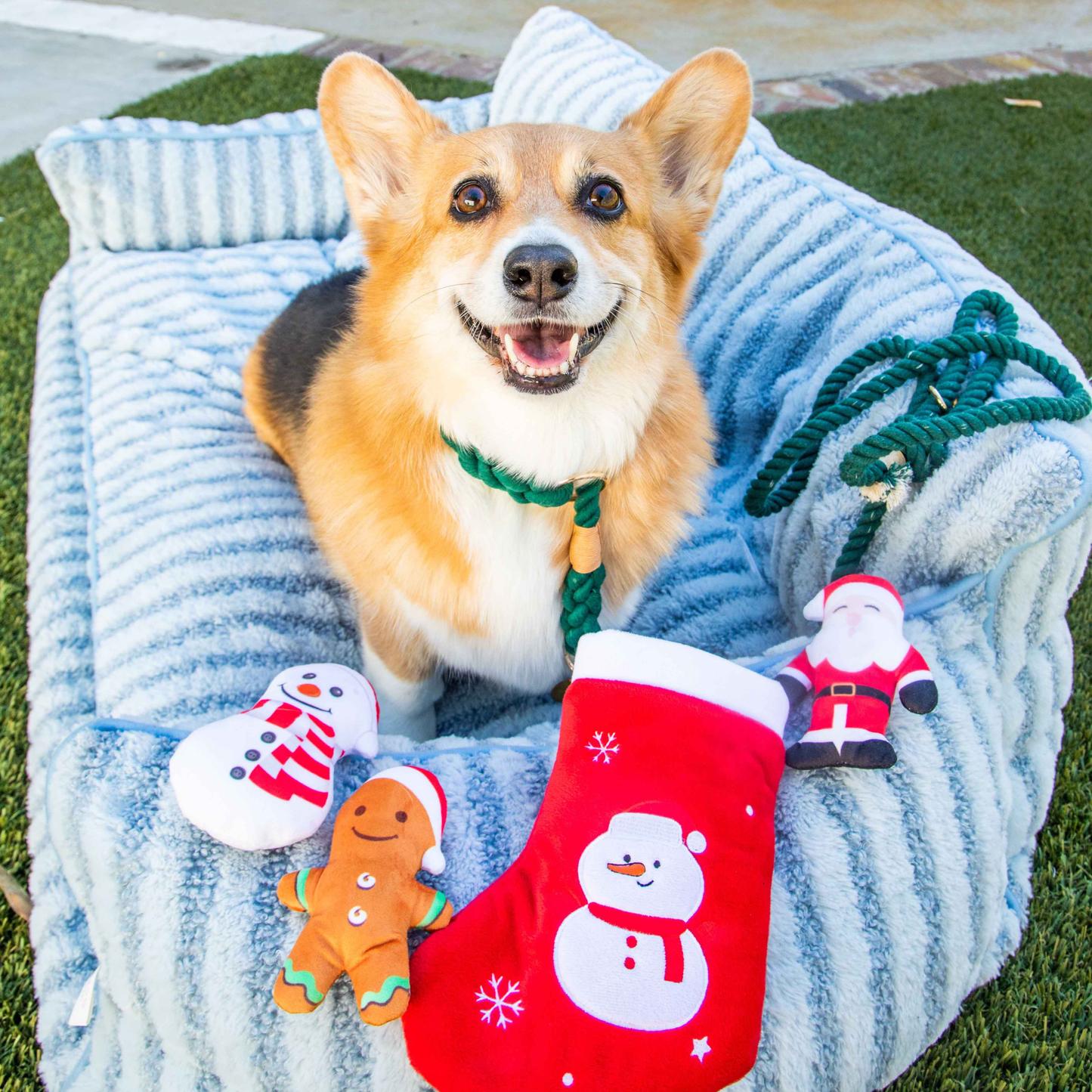Luxury Light Blue Striped Sofa Dog Bed for Cozy Pet Comfort and Modern Home Decor Glow Pups by Glow Pups