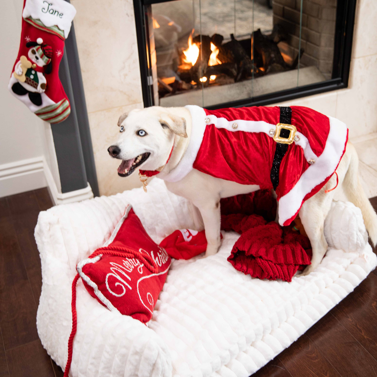 Glow Pups Faux Rabbit Fur Sofa Dog Bed Orthopedic, White by Glow Pups
