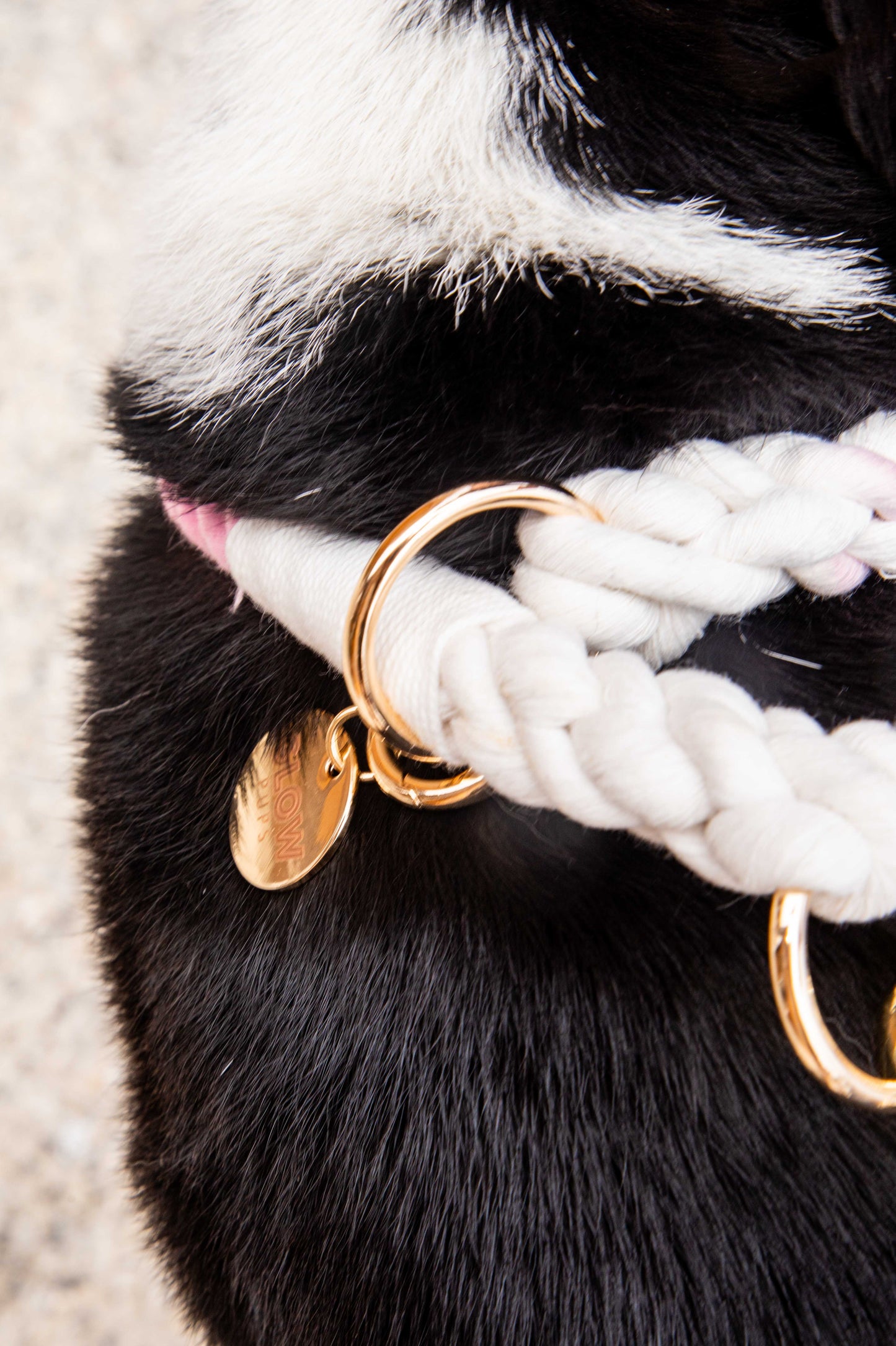 Pink and White Tie Dye Slip Collar