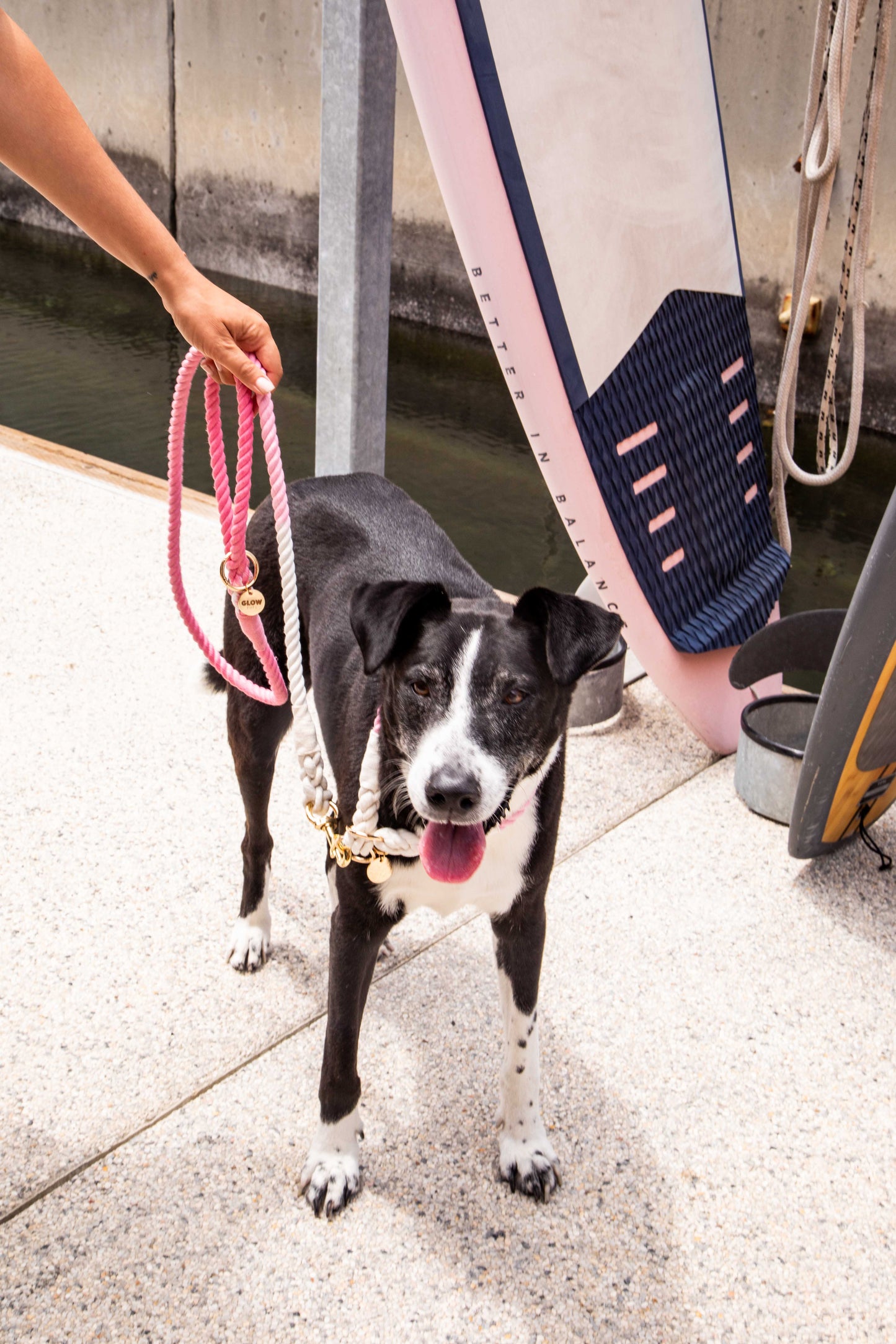 Pink and White Tie Dye Slip Collar