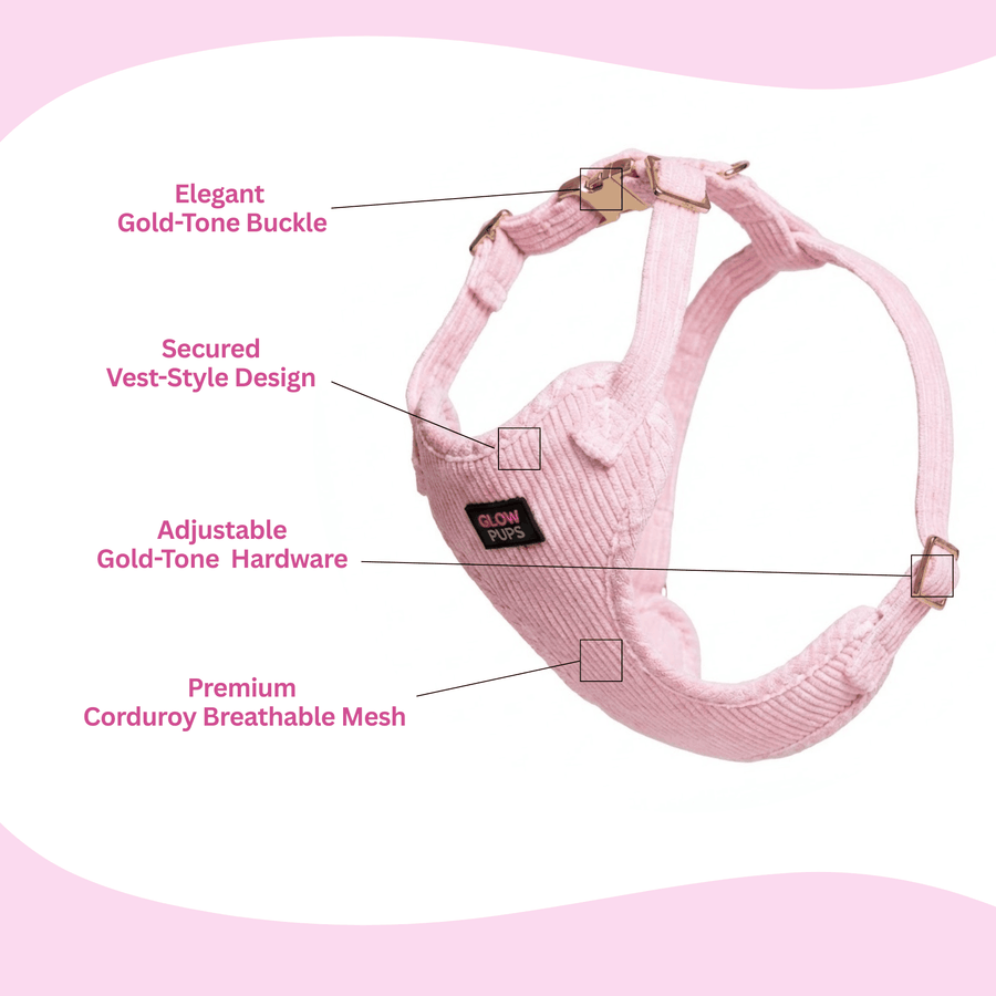 Light Pink Harness with Gold Buckle - Glow Pups by Glow Pups