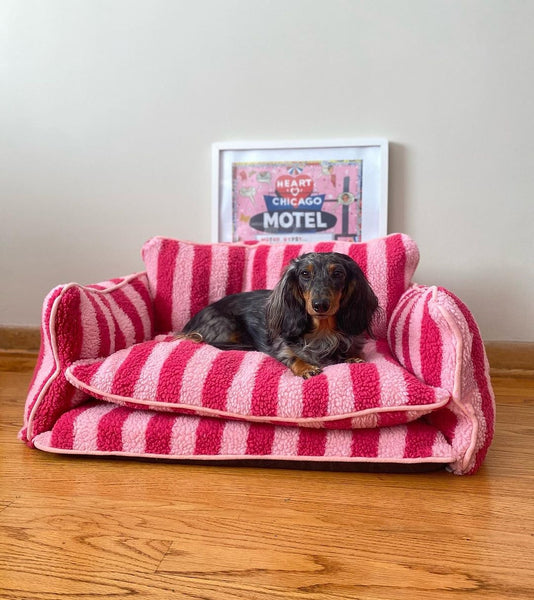 Pink Striped Dog Bed Glow Pups