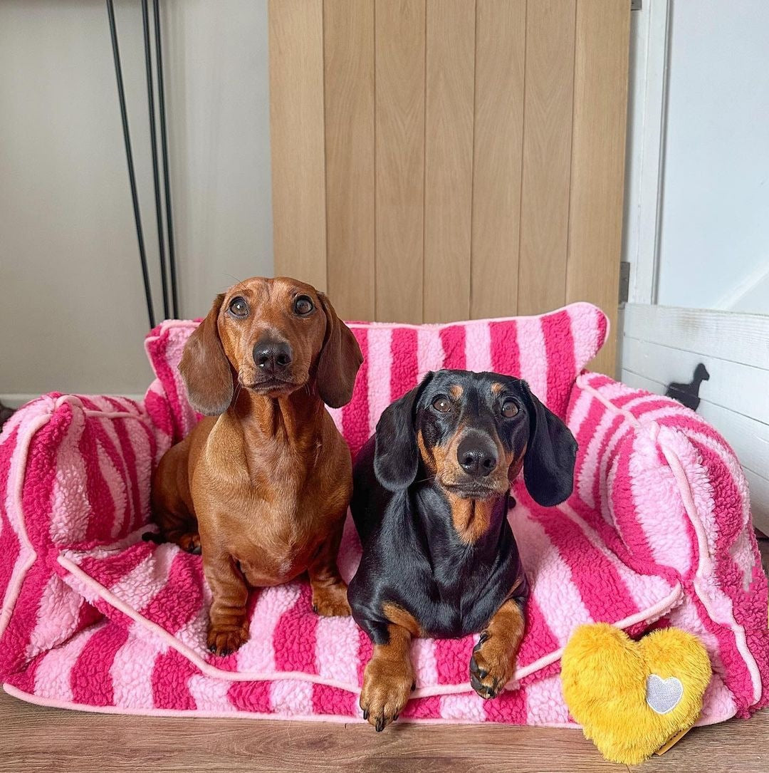 Pink Striped Dog Bed